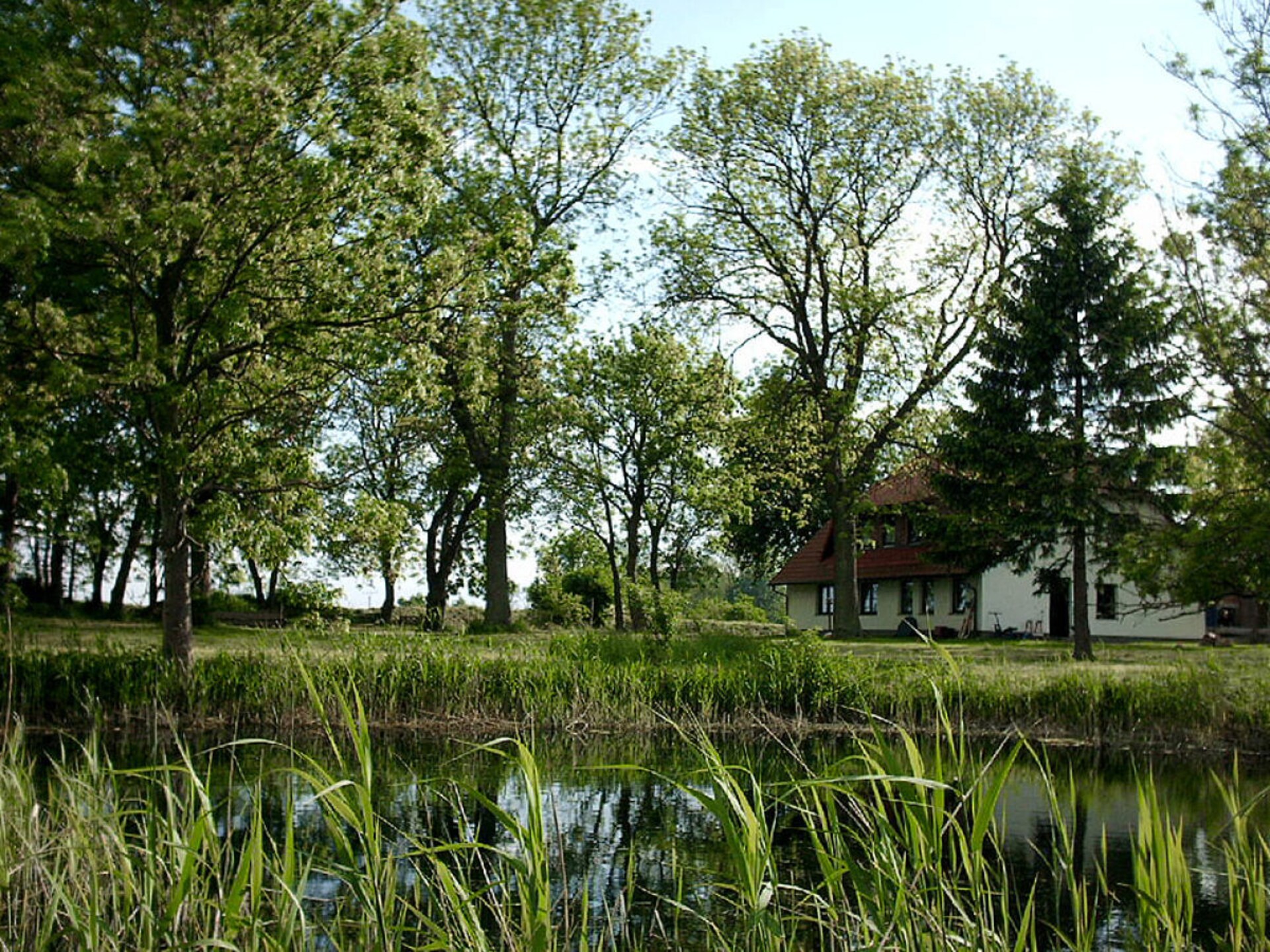 Vrijstaand vakantiehuis voor 7 aan de rand van Nationaal Park Rügen - foto 15