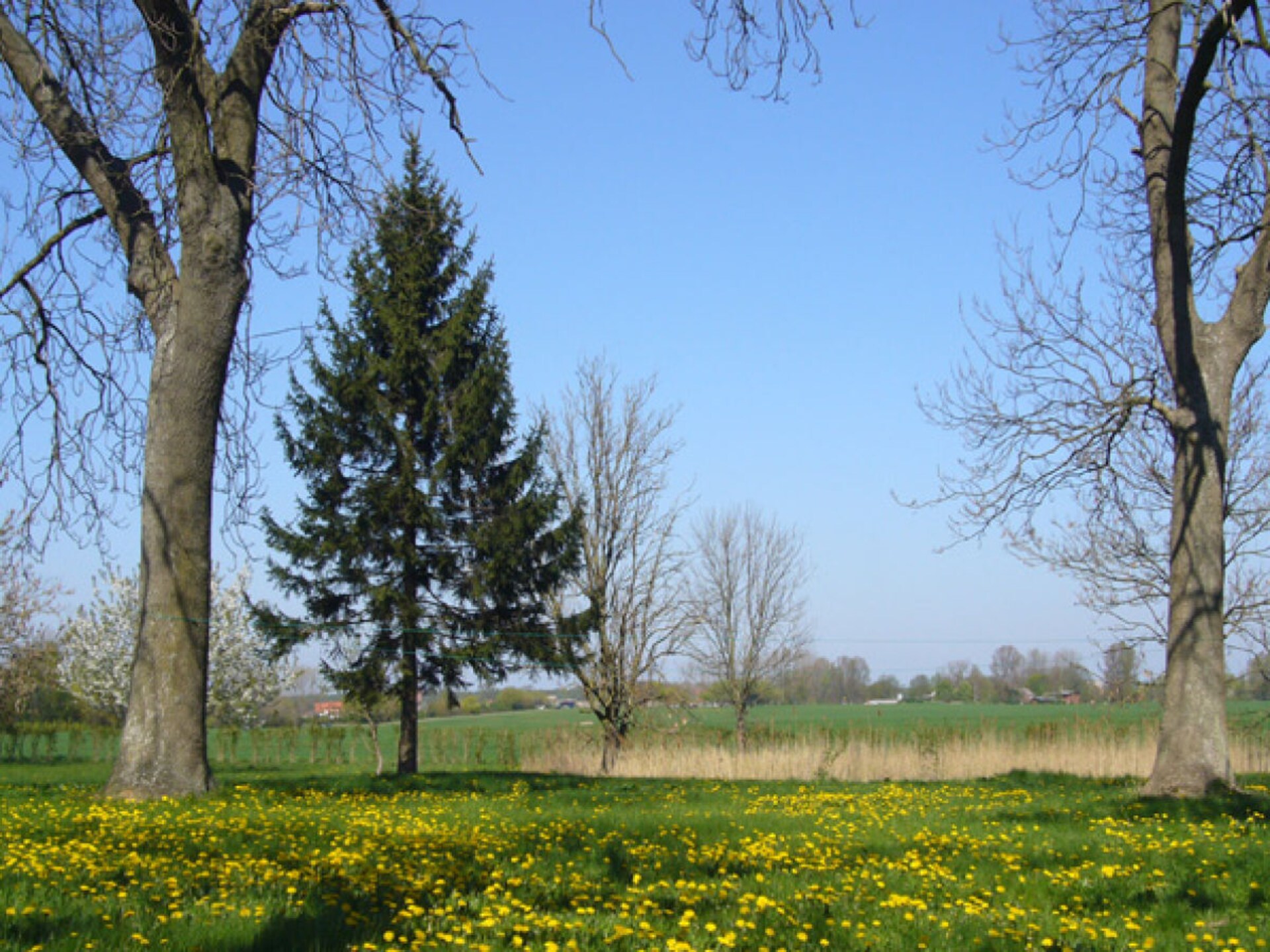 Vrijstaand vakantiehuis voor 7 aan de rand van Nationaal Park Rügen - foto 16