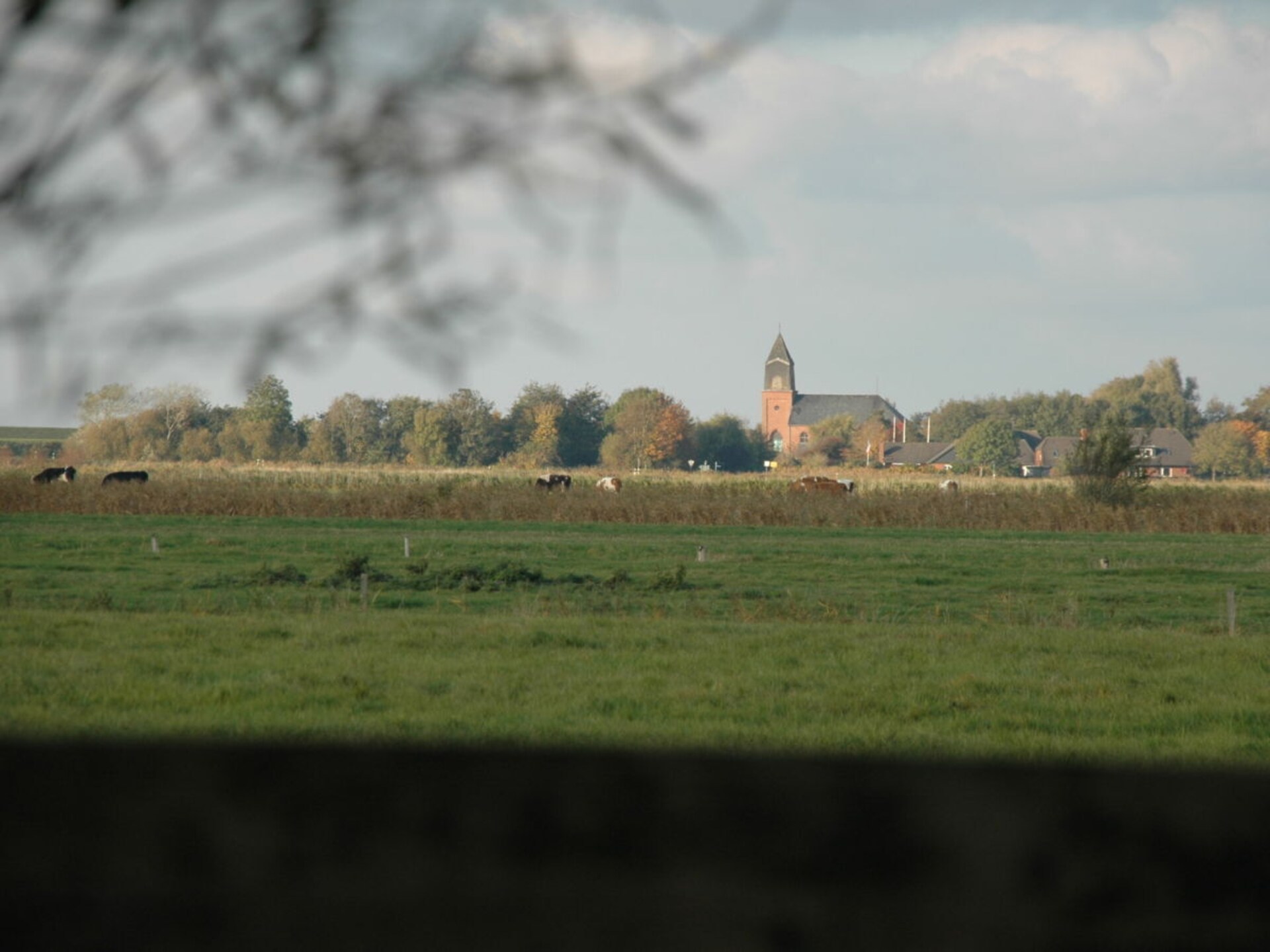 Huus Uelvesbüll: Idyllisch vakantiehuis met Waddenzee-uitzicht in Noord-Friesland - foto 19