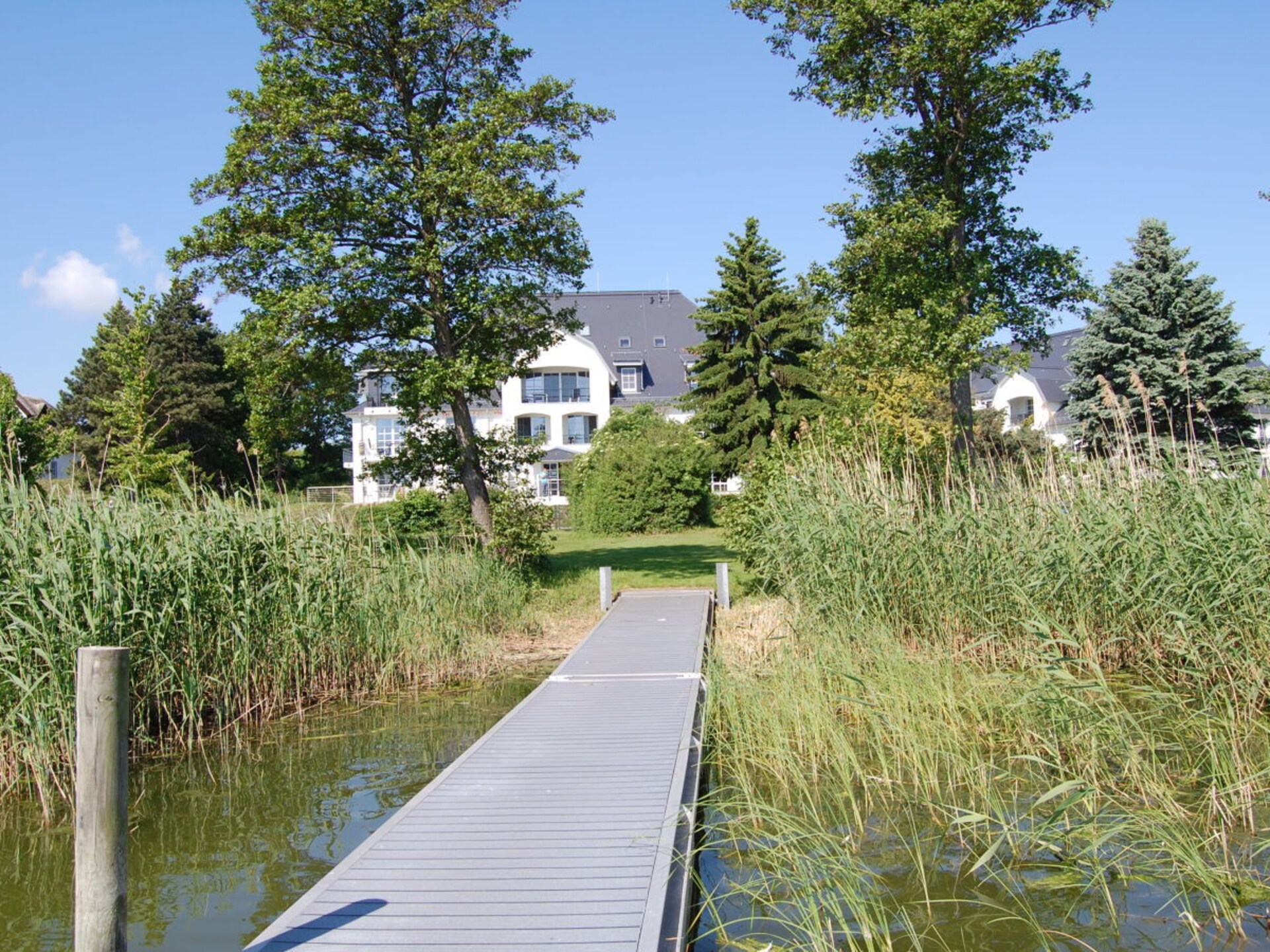 Vakantiehuis aan de Achterwasser in Balm – 4 personen - foto 4