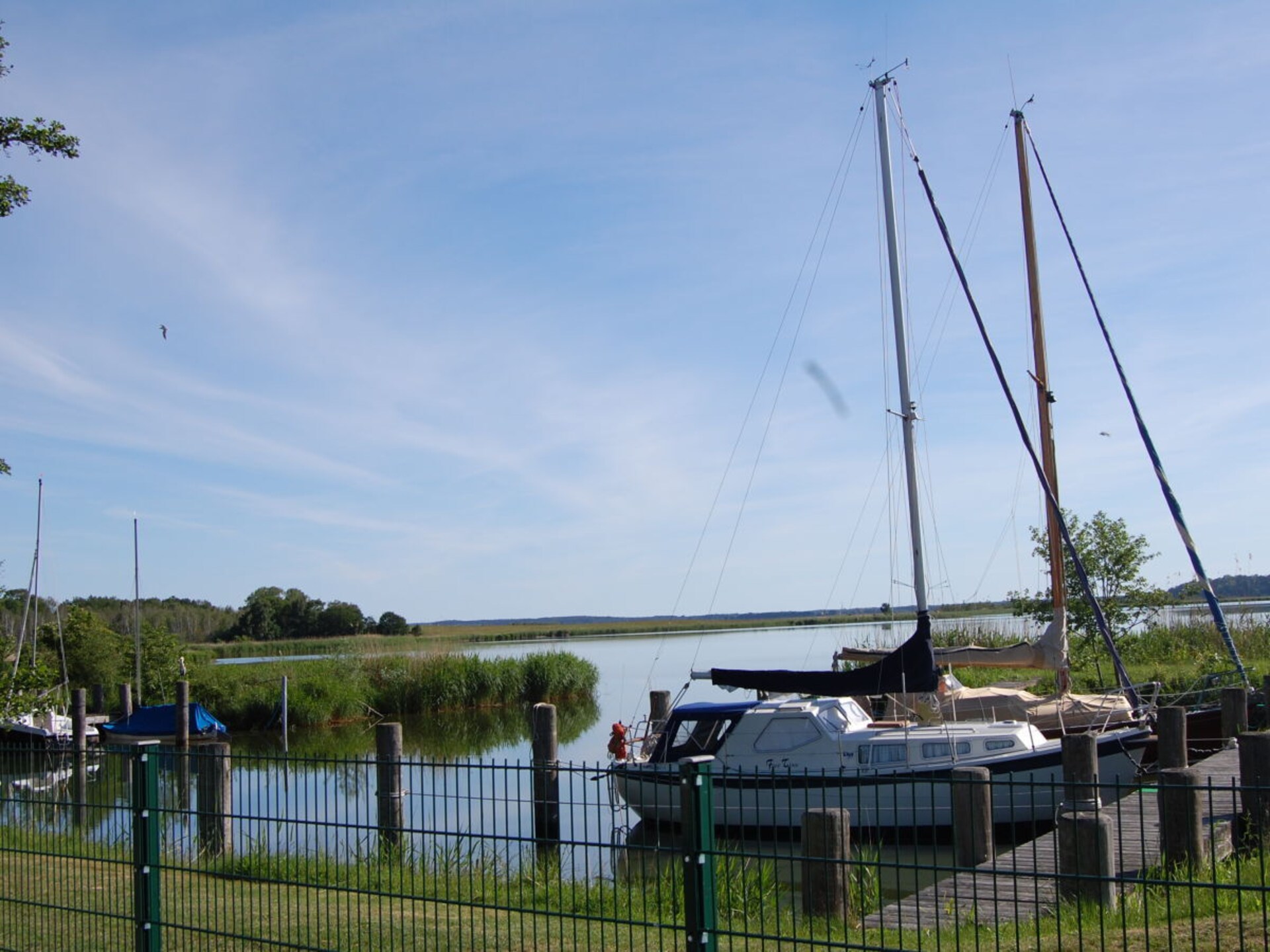Vakantiehuis aan de Achterwasser in Balm – 4 personen - foto 19