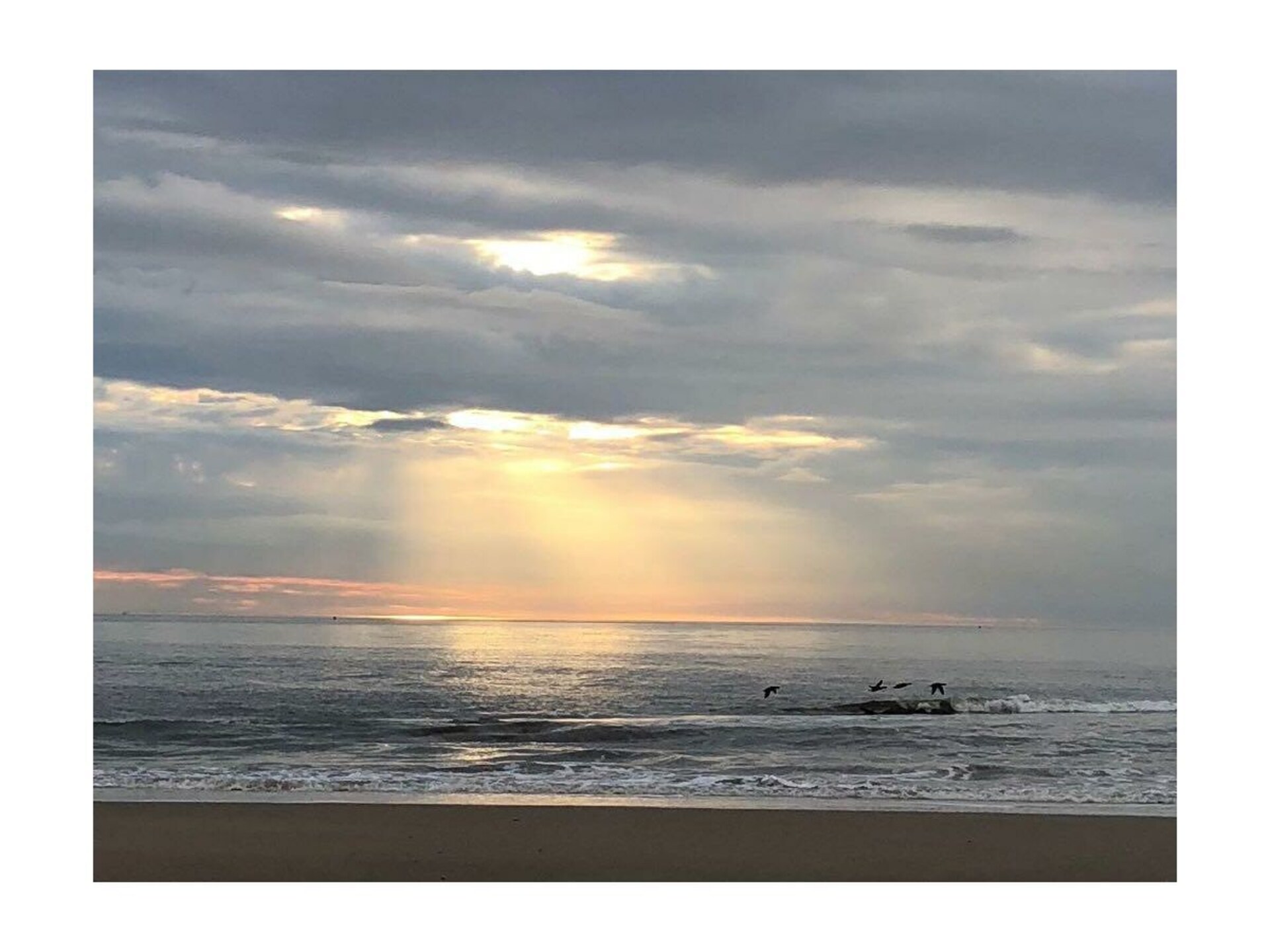 Vakantiehuis aan de Noordzeedijk: wandelen naar strand en duinen - foto 16
