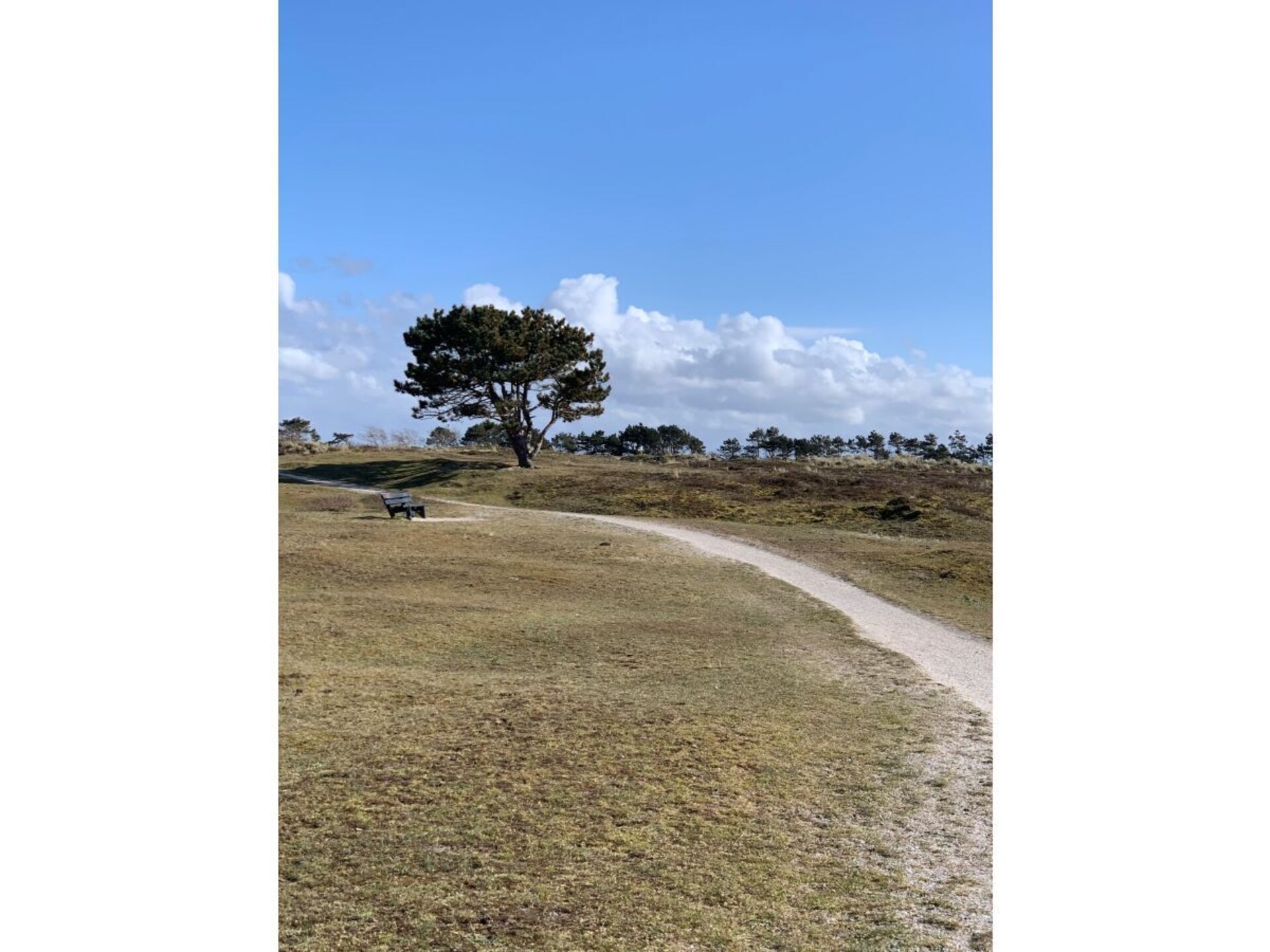 Vakantiehuis aan de Noordzeedijk: wandelen naar strand en duinen - foto 18