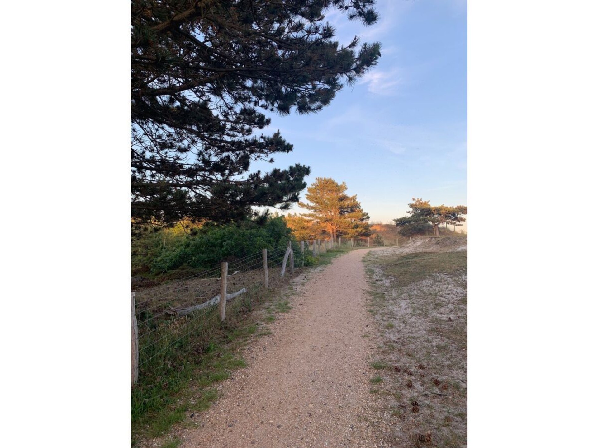 Vakantiehuis aan de Noordzeedijk: wandelen naar strand en duinen - foto 19