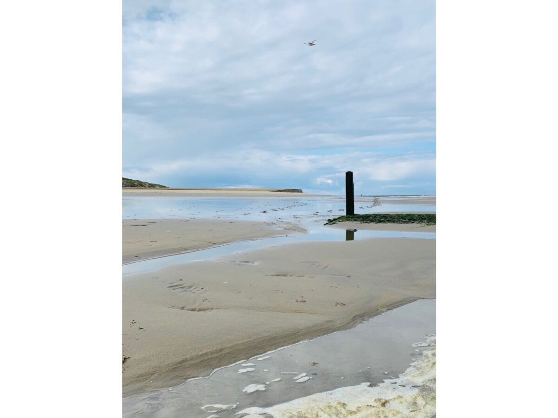 Vakantiehuis aan de Noordzeedijk: wandelen naar strand en duinen - foto 21