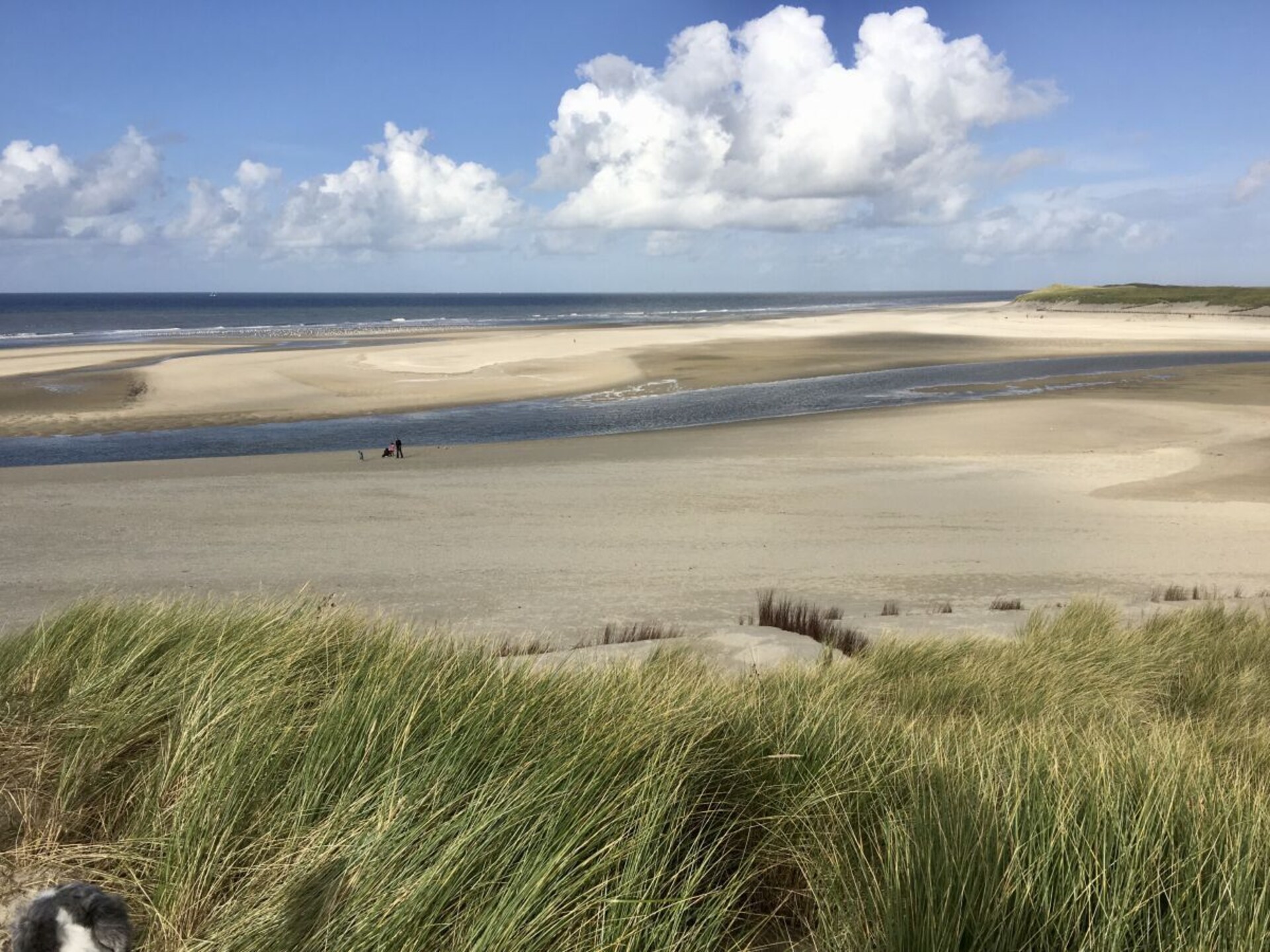 ART MEETS NATURE: stijlvol appartement bij bos en strand op Texel - foto 31