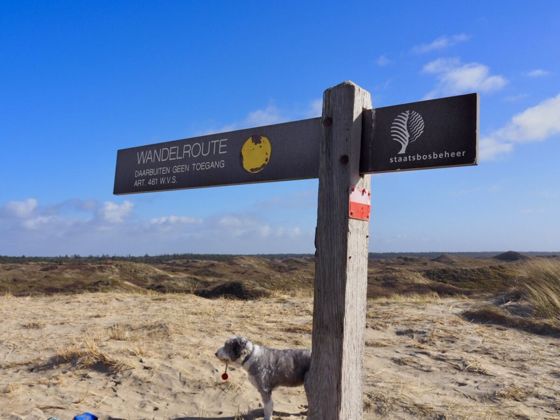 ART MEETS NATURE: stijlvol appartement bij bos en strand op Texel - foto 37