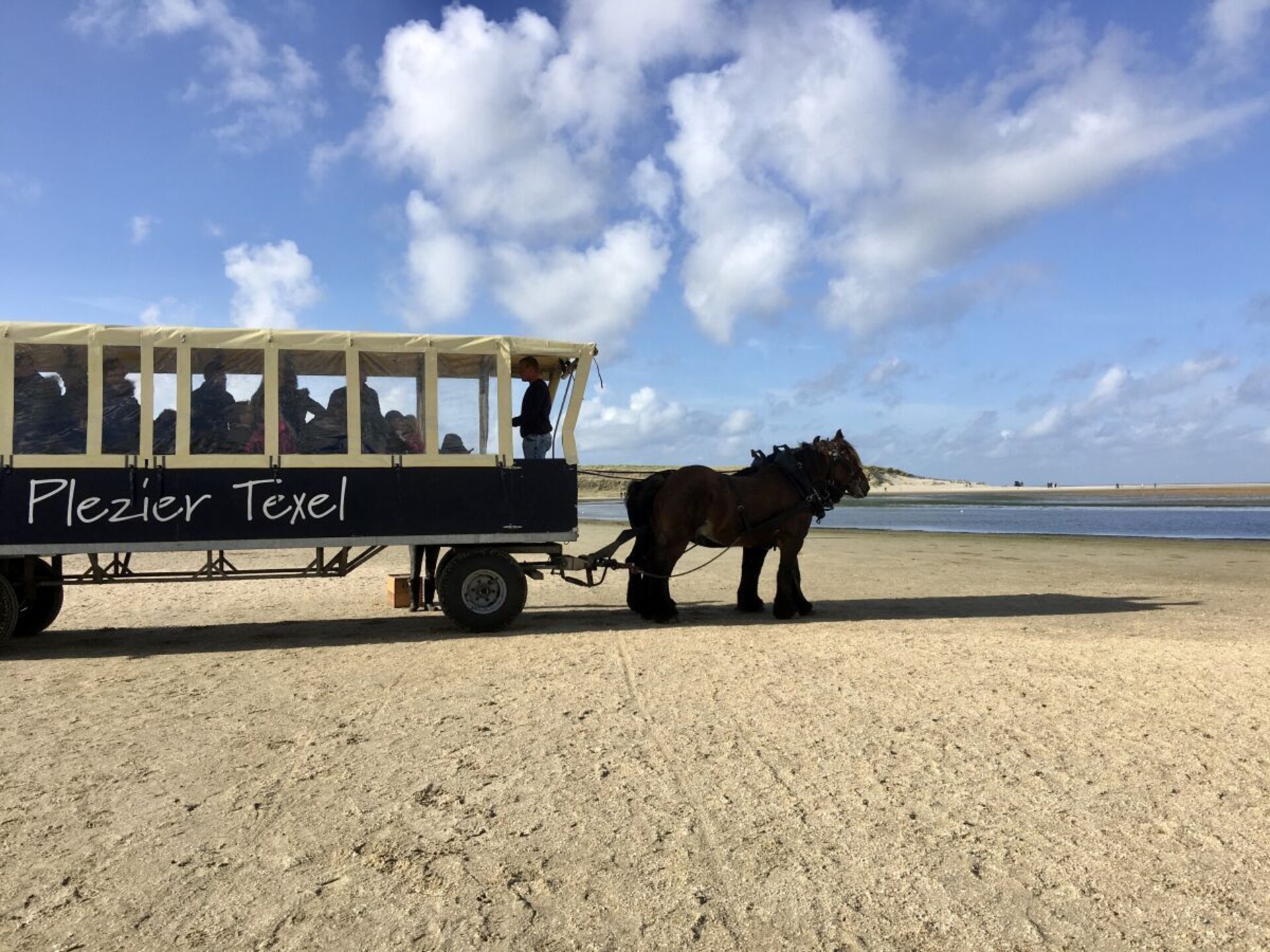 ART MEETS NATURE: stijlvol appartement bij bos en strand op Texel - foto 39