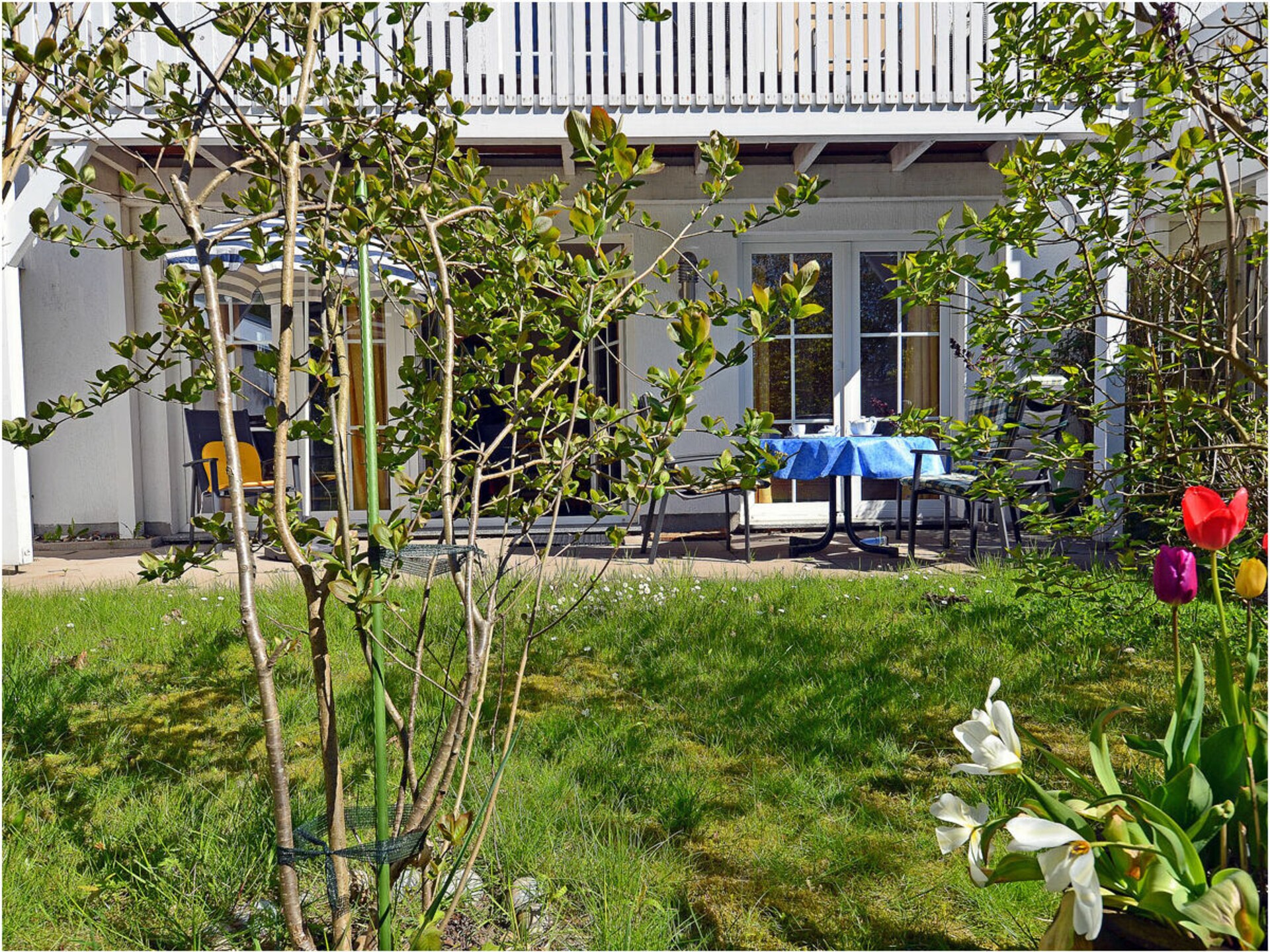 Gelijkvloers appartement in Breege met terras, vlakbij strand en haven - foto 2