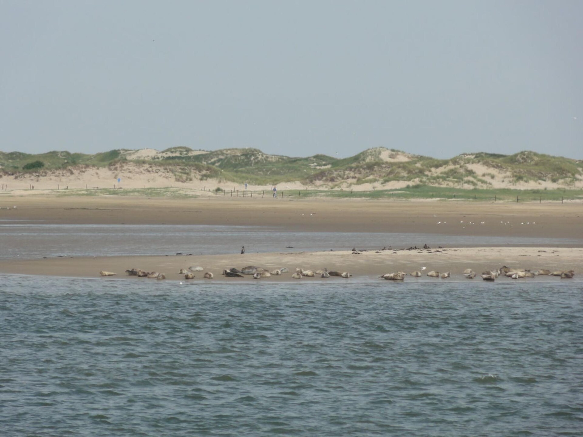Knus appartement direct aan zee op Baltrum voor 2 personen - foto 25