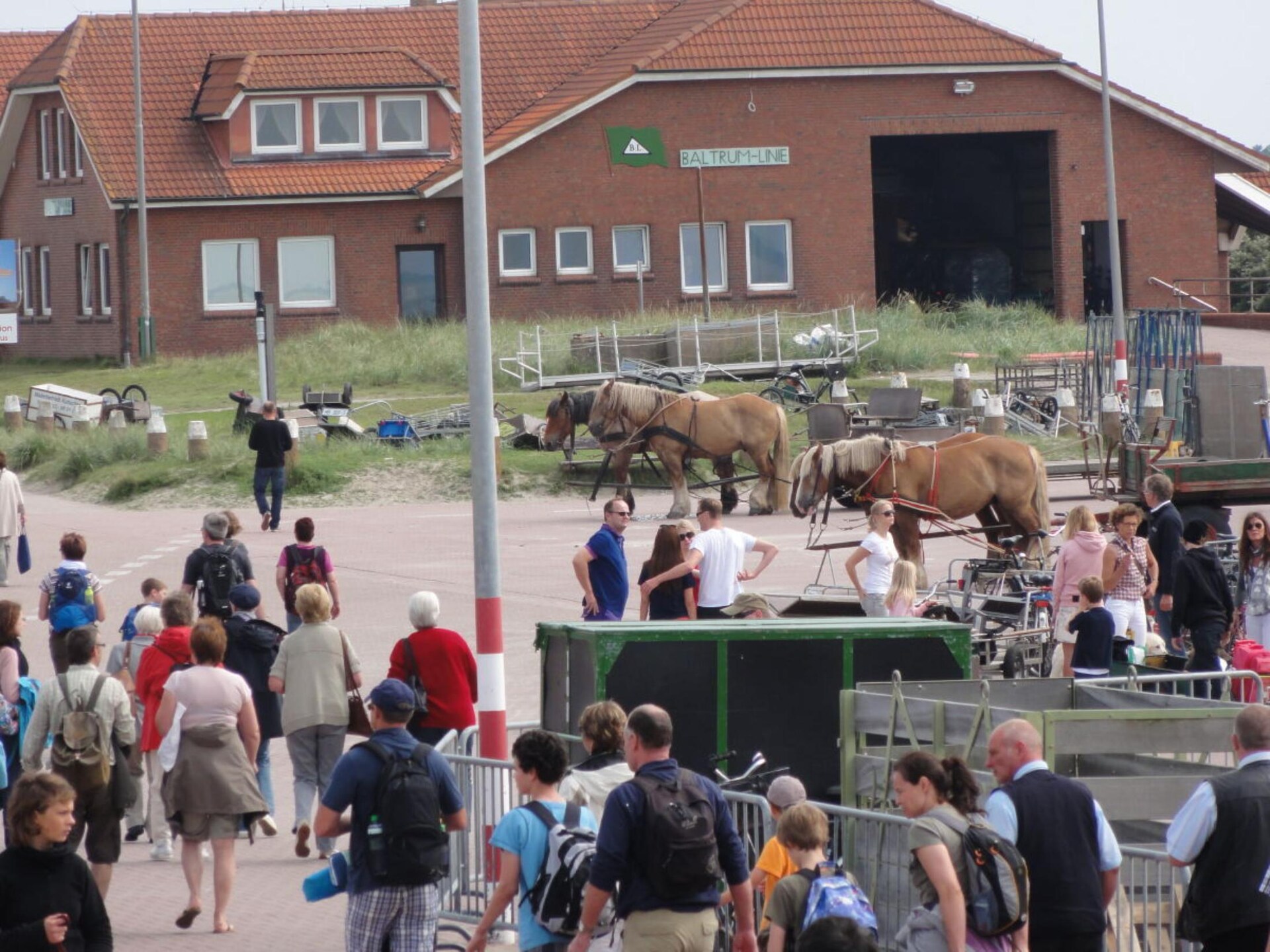 Knus appartement direct aan zee op Baltrum voor 2 personen - foto 12