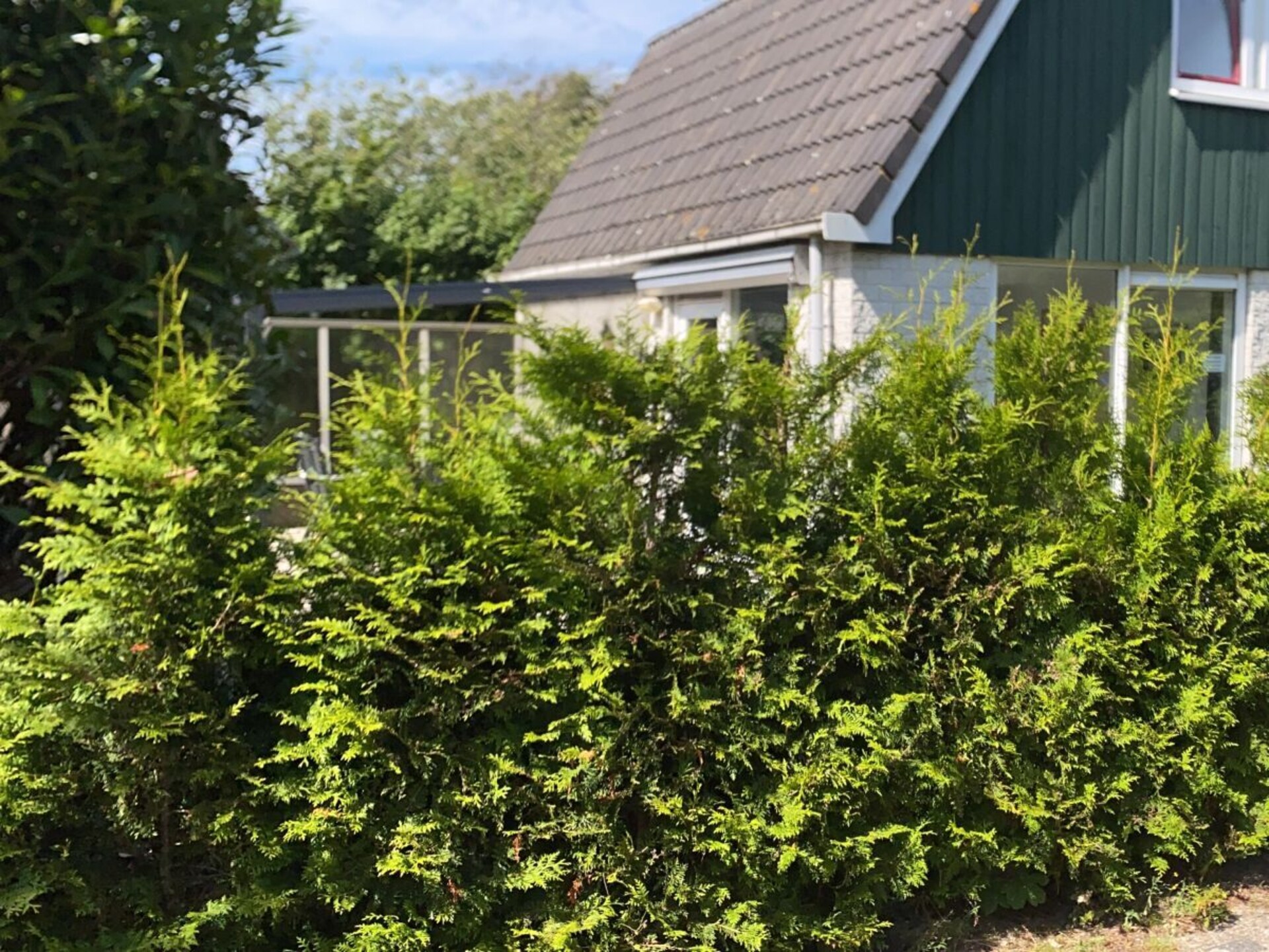 Gezellig vakantiehuis bij Sint Maartenzee, 800m van centrum, hond welkom - foto 7