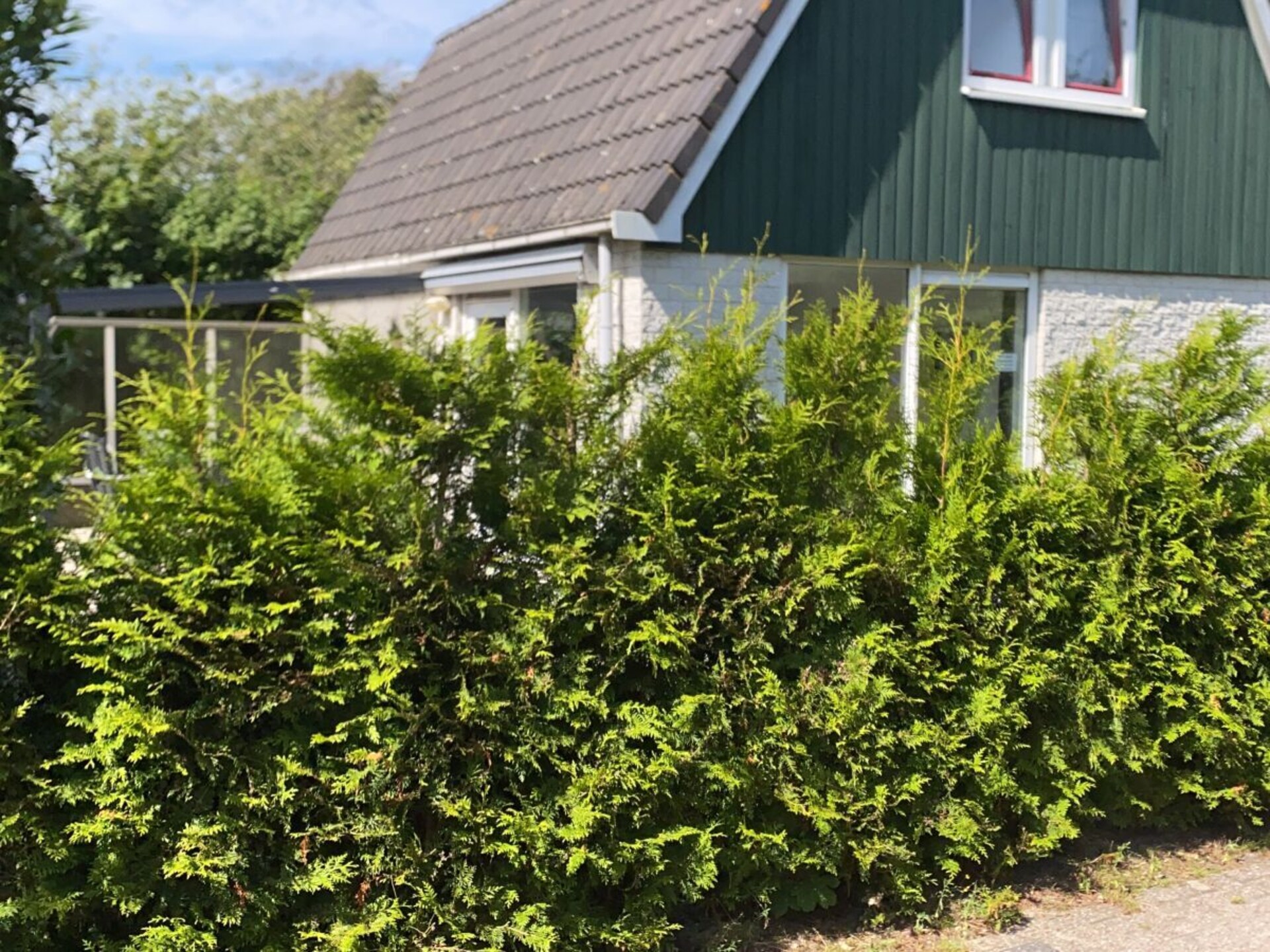 Gezellig vakantiehuis bij Sint Maartenzee, 800m van centrum, hond welkom - foto 8