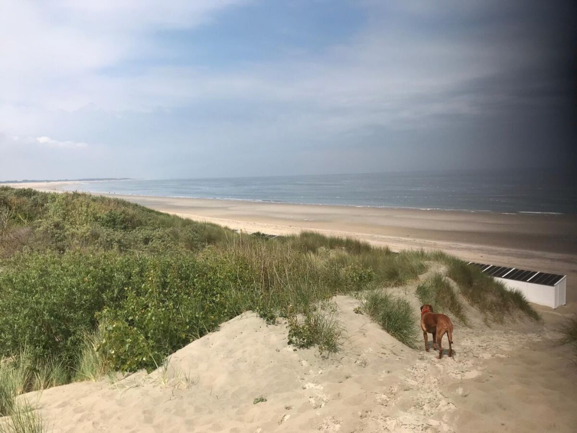 Vrijstaand vakantiehuis aan het Veerse Meer, 5 minuten van het strand - foto 30