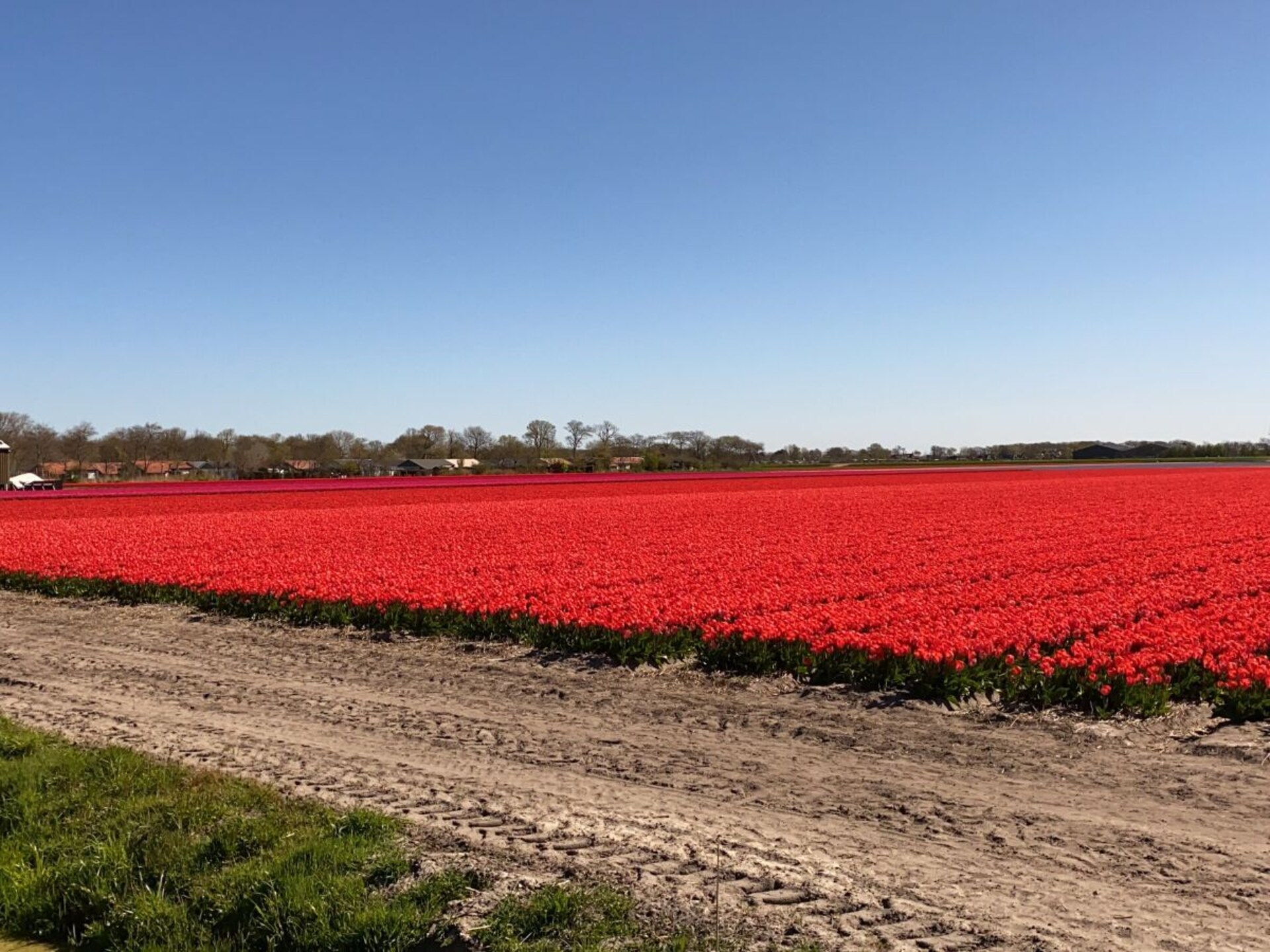 Gezellig vakantiehuis met wintertuin in Dirkshorn, hond welkom - foto 19