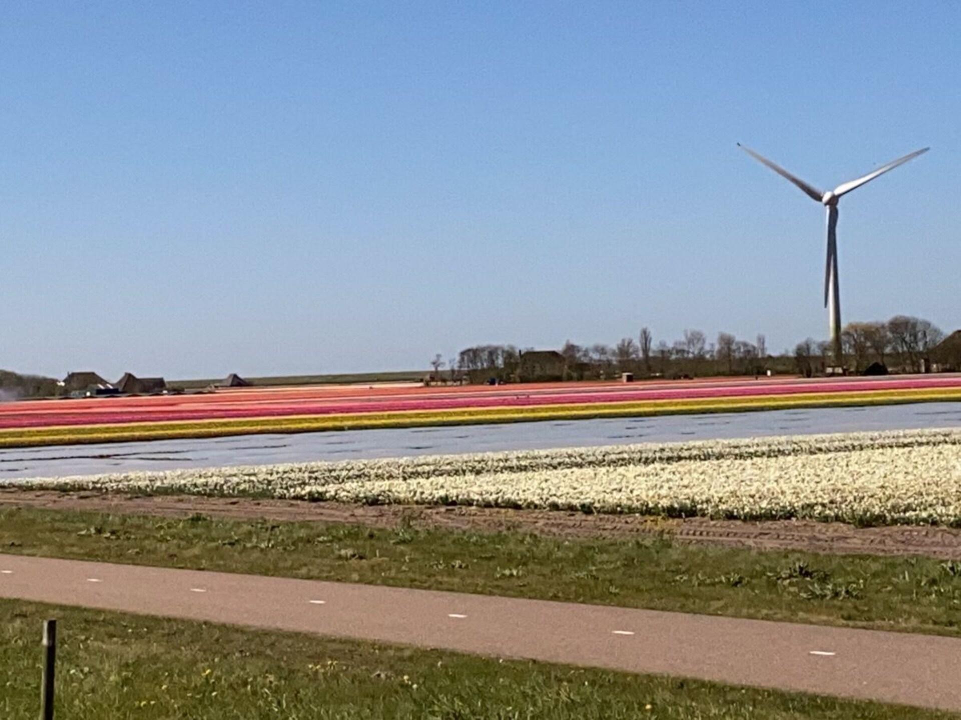 Gezellig vakantiehuis met wintertuin in Dirkshorn, hond welkom - foto 20