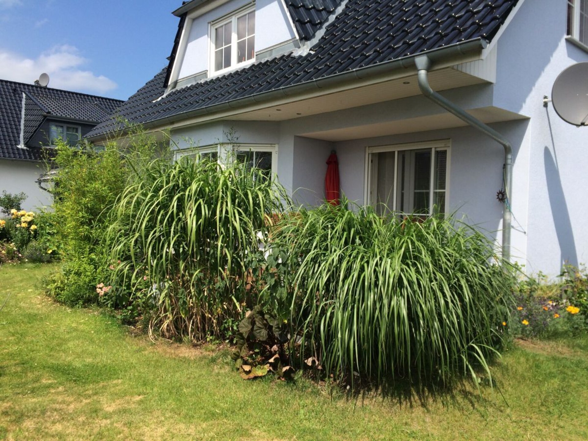 Centraal gelegen modern vakantiehuis in Zinnowitz voor 3 personen - foto 3