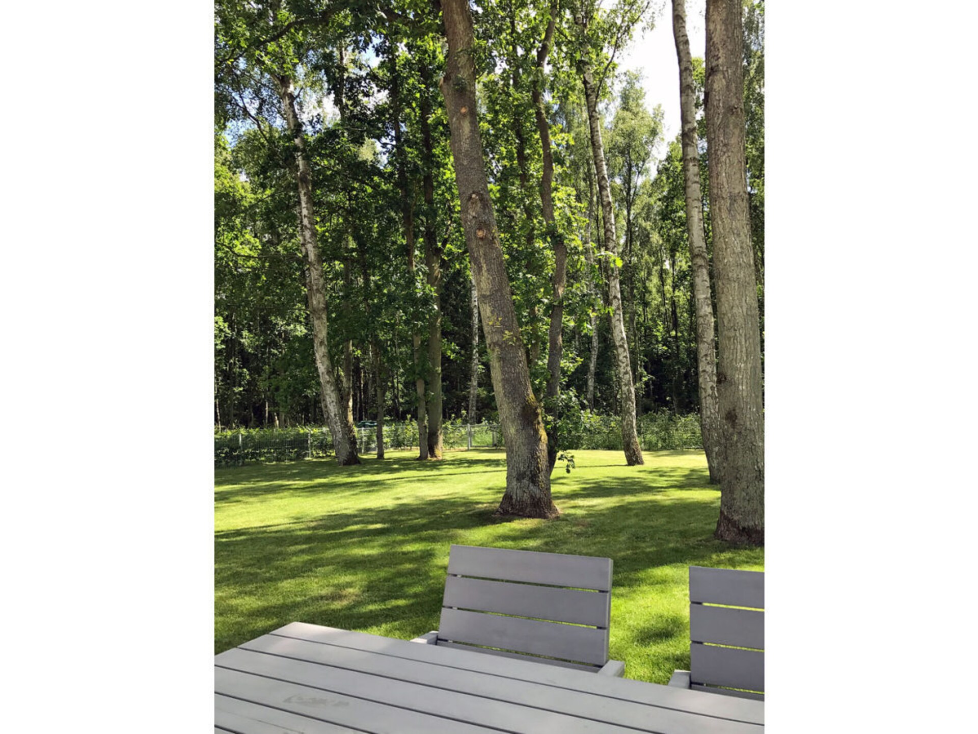 Rieten droom aan de Oostzee met sauna, haard en nabij zandstrand in Glowe - foto 4