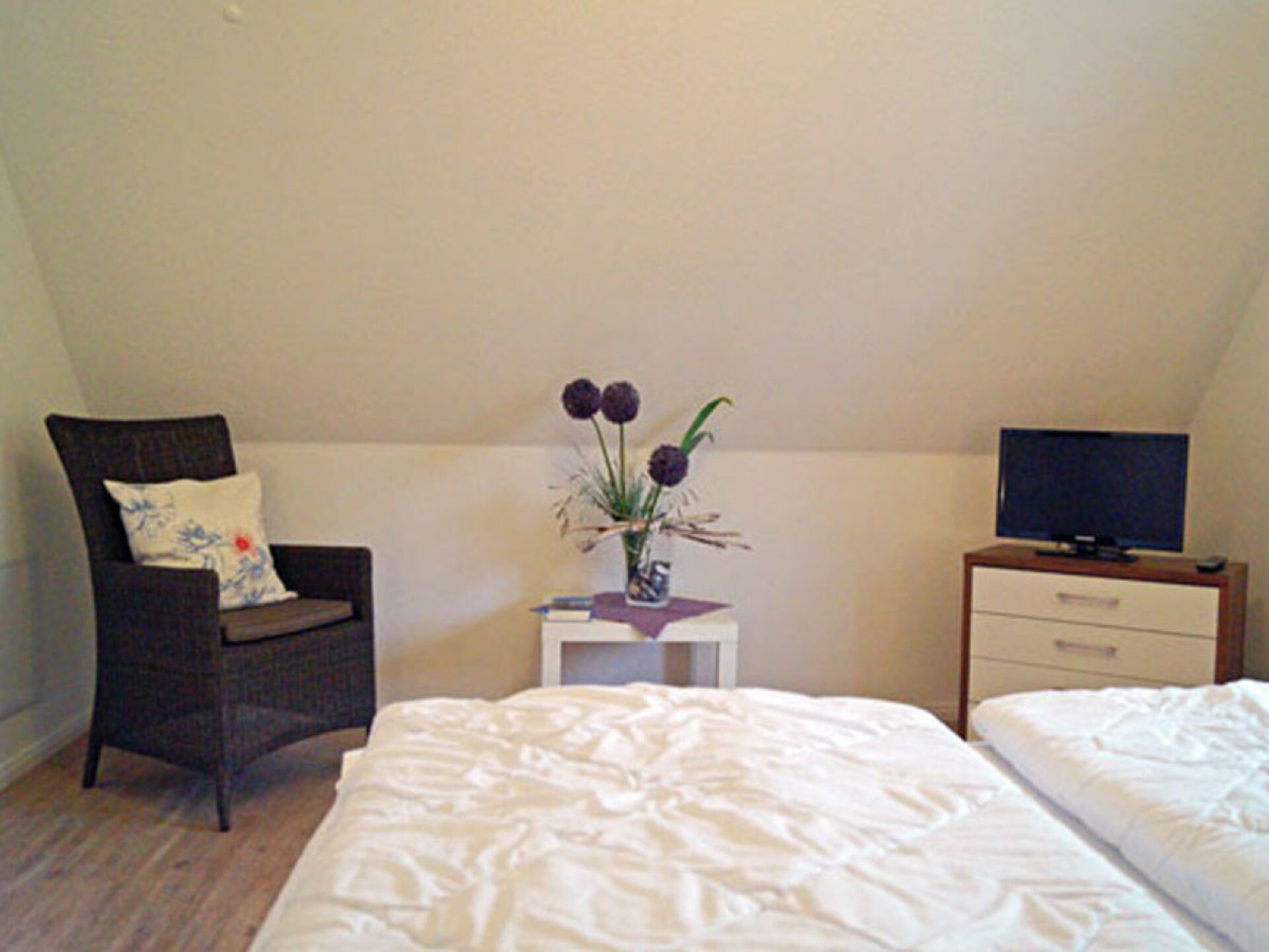 Modern rietgedekt huis met sauna & haard op 400m van het strand - foto 13