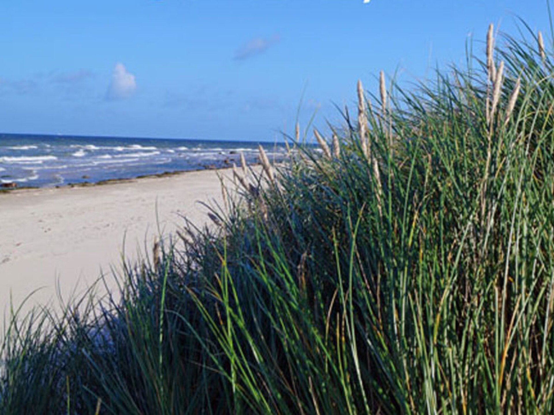 Modern rietgedekt huis met sauna & haard op 400m van het strand - foto 19