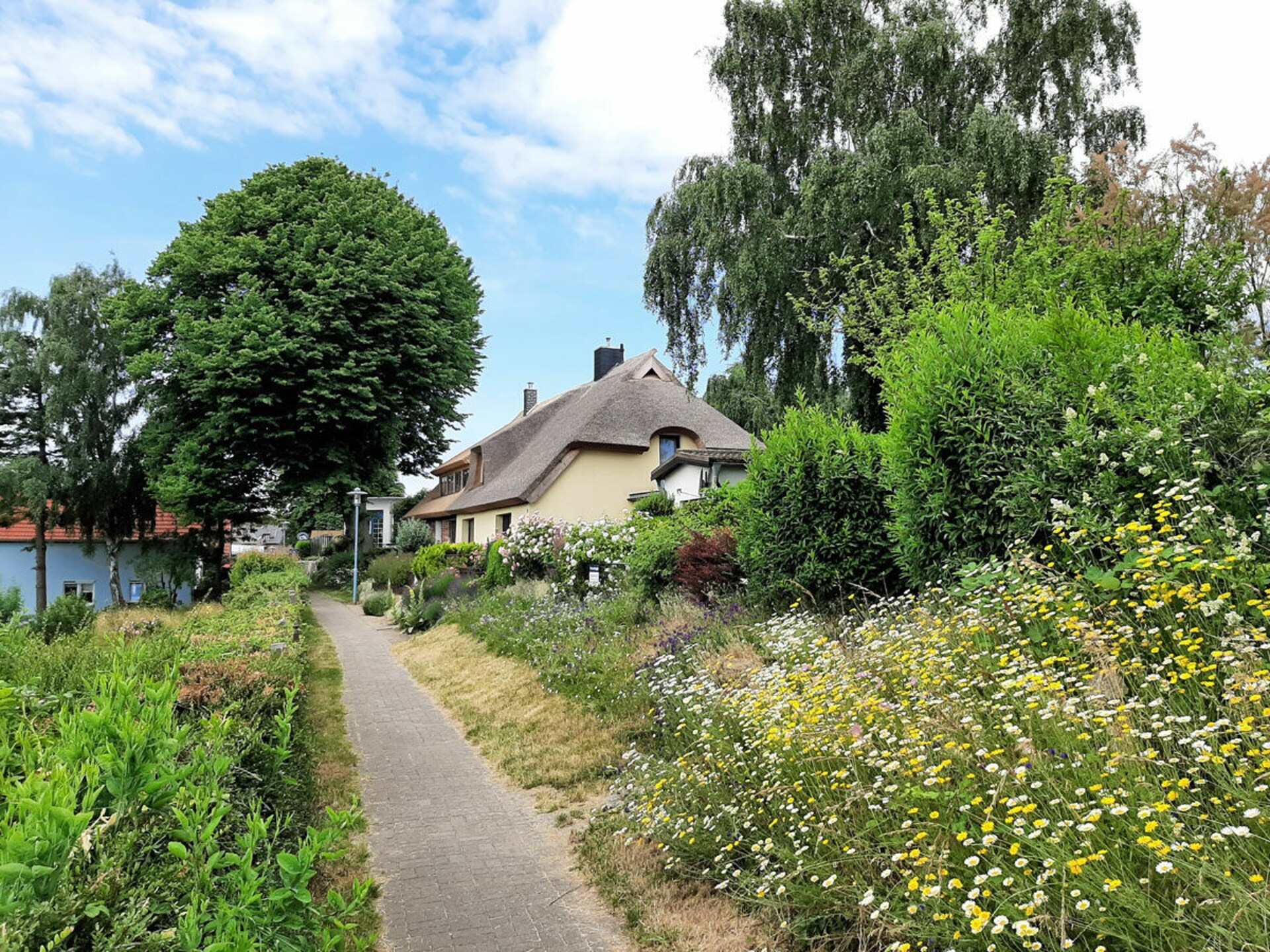 Lichte maisonnette bij Breege, 900 meter van het Oostzeestrand - foto 17