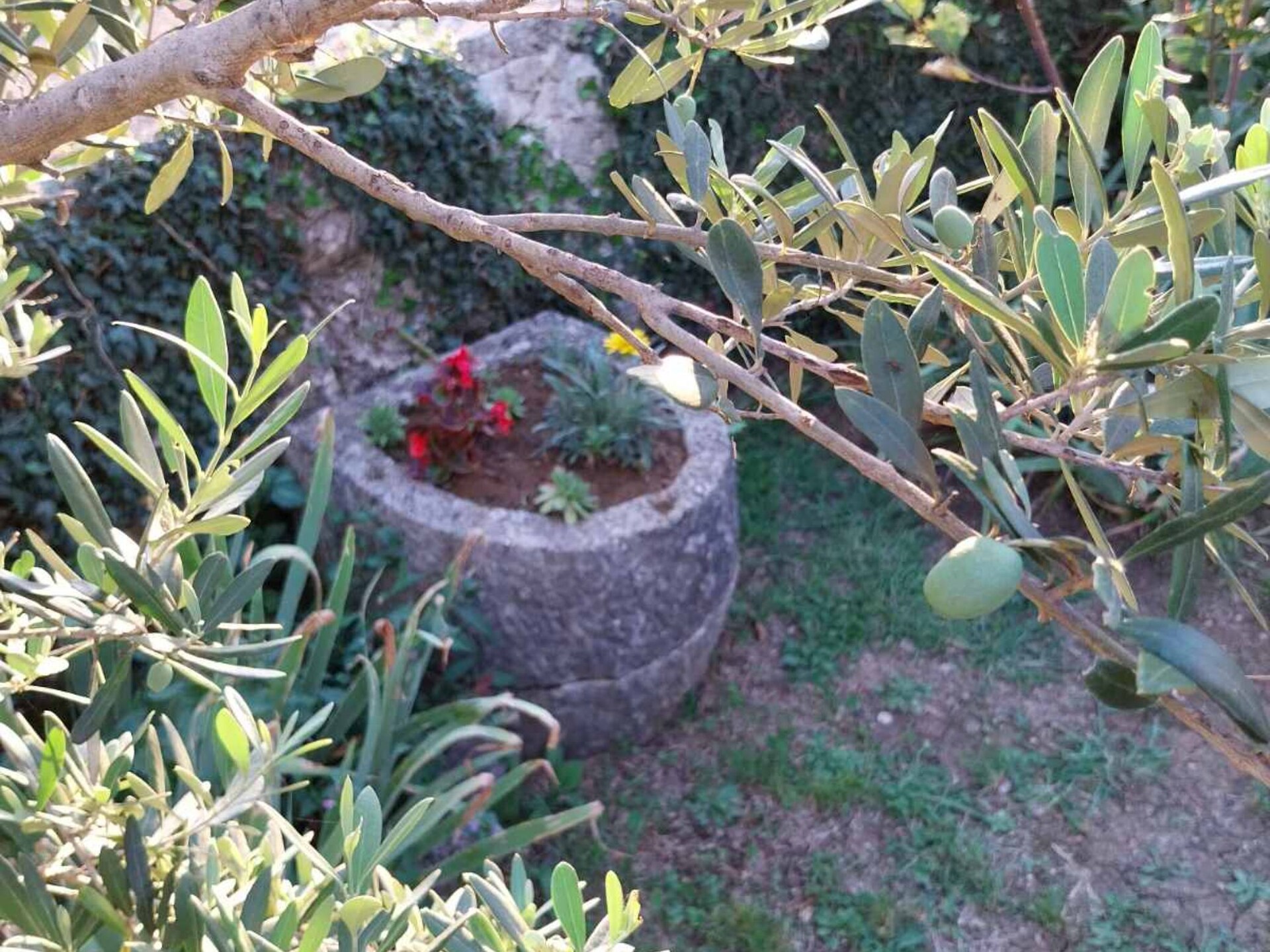 Vakantiehuis Gioia Cristina in Labin met terras - foto 27