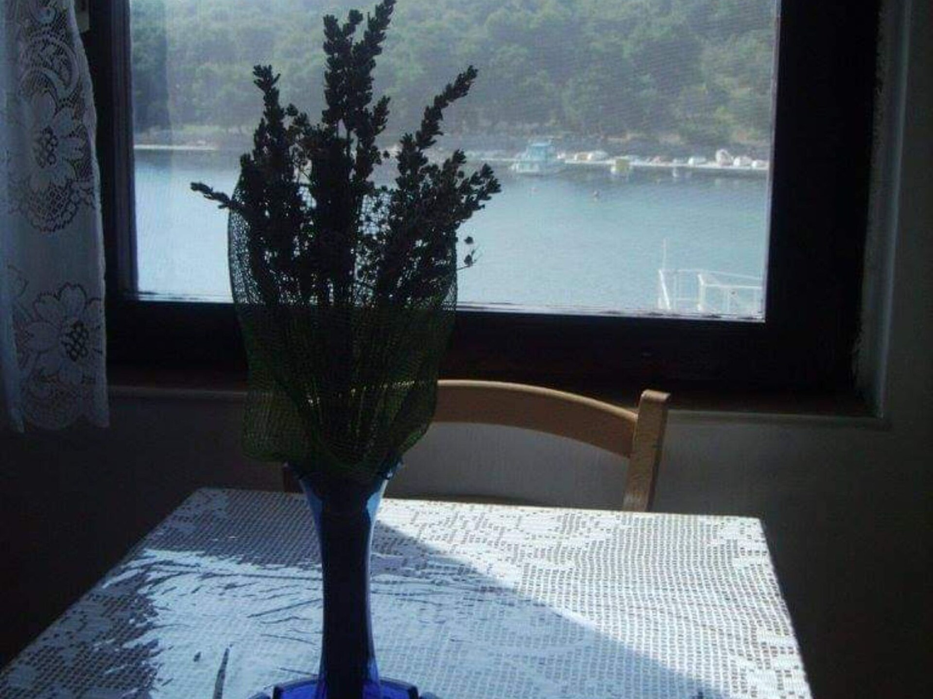 Appartement met zeezicht en terras op autovrij eiland Prvić Luka - foto 7