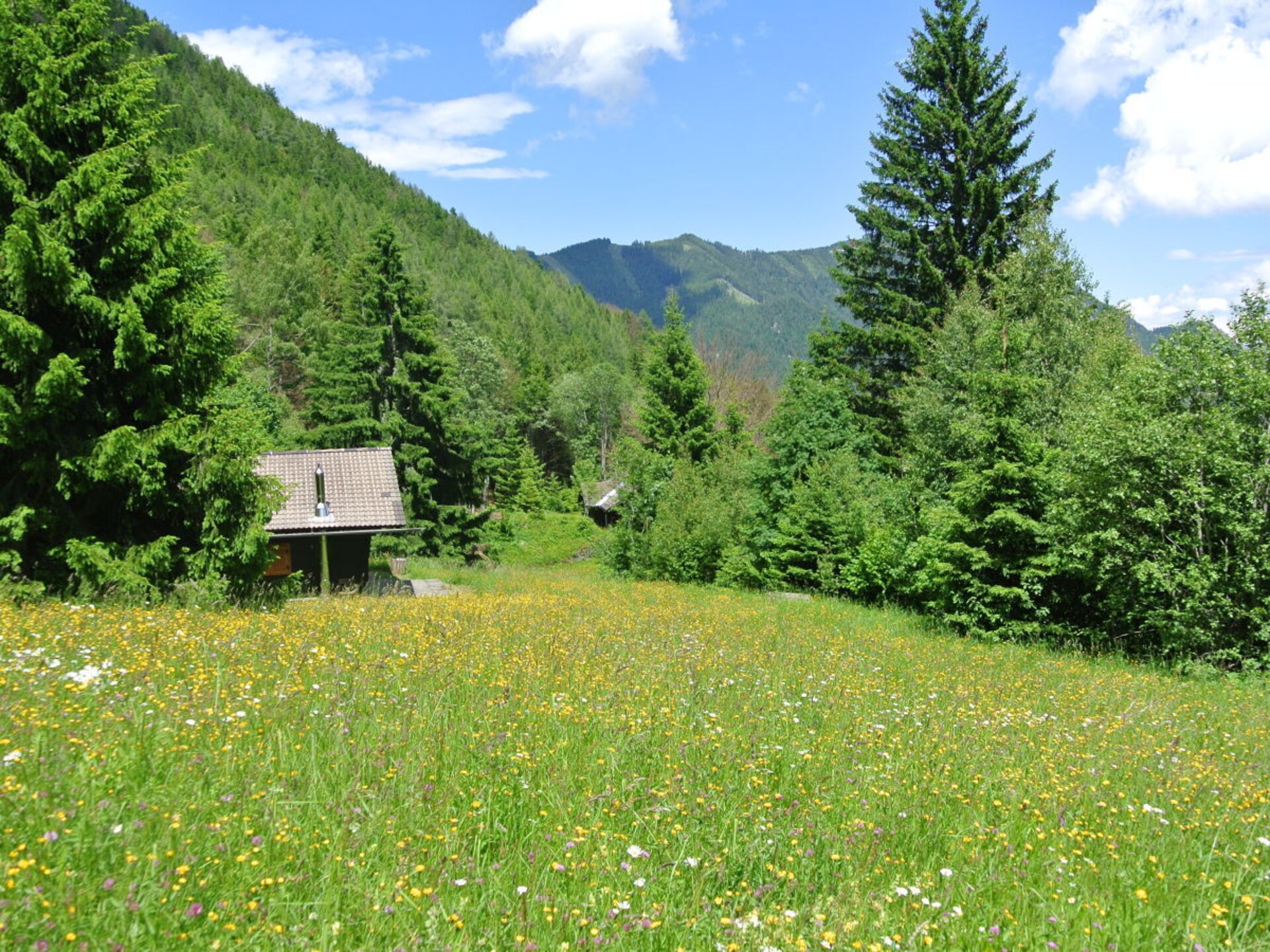 Karl Anton Hütte – Ruim Alpenhuis met bergzicht in Bodental - foto 3