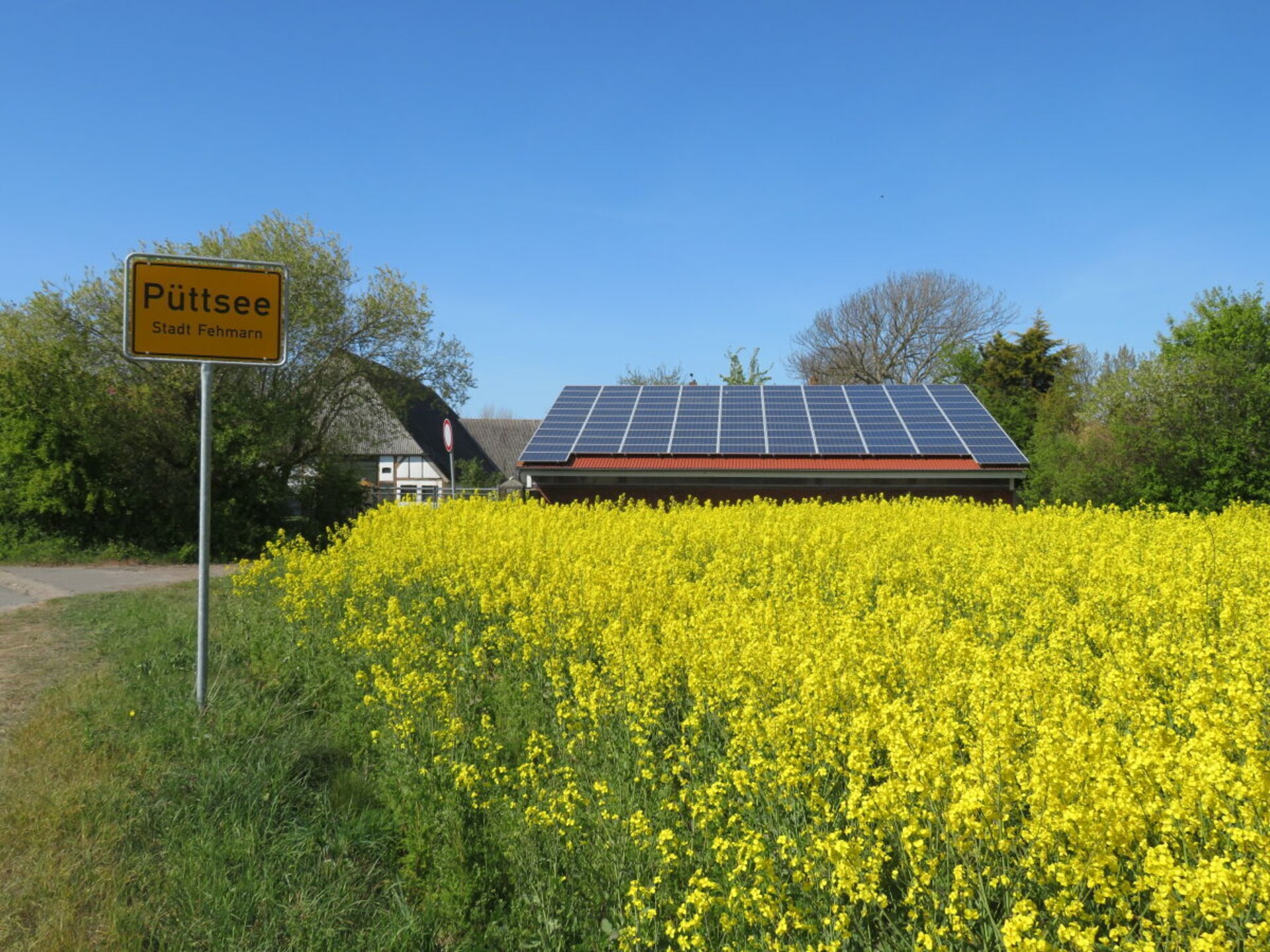 Licht vakantiehuis op Fehmarn, 1 km van natuurstrand Püttsee - foto 14
