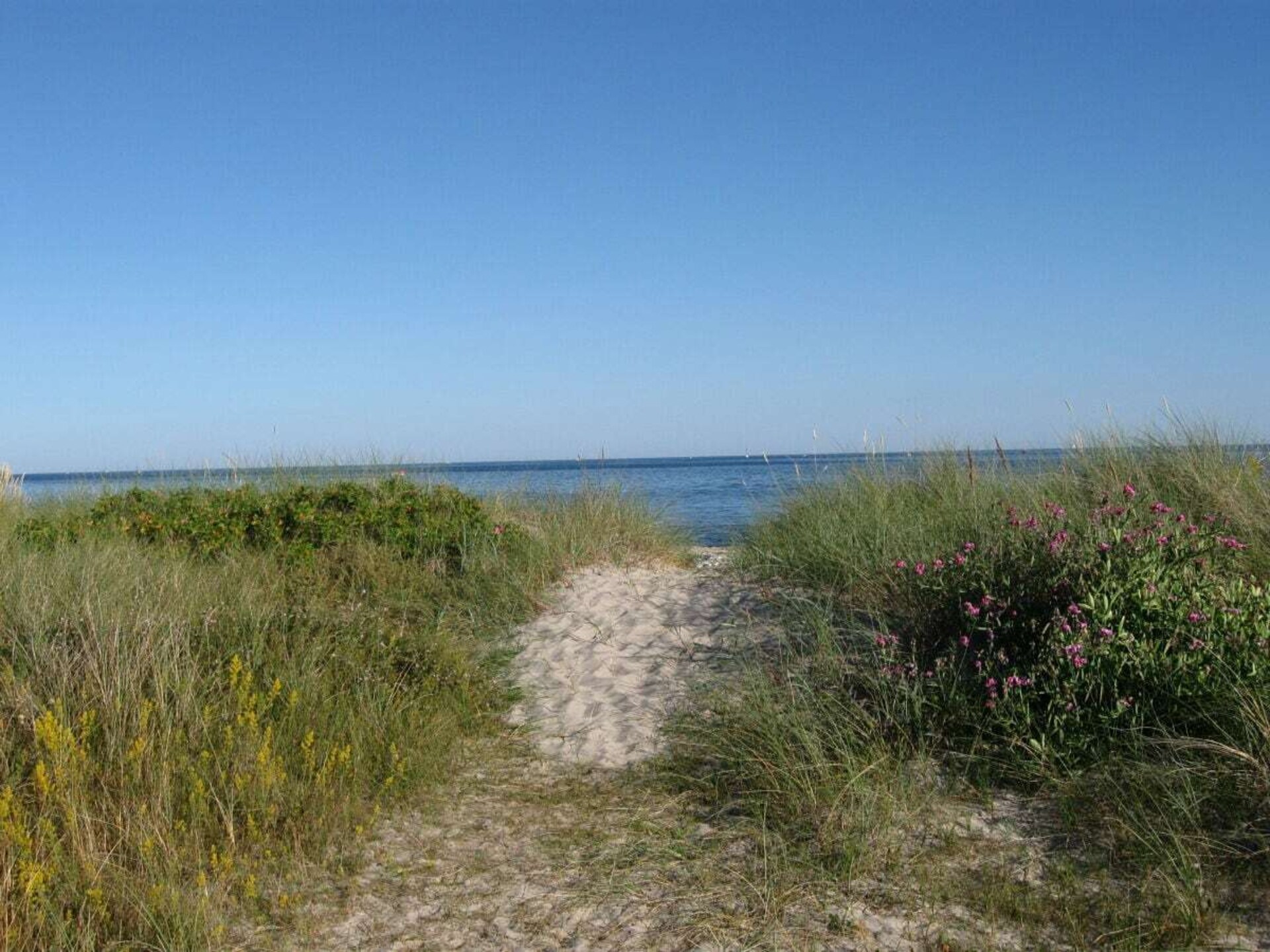 Licht vakantiehuis op Fehmarn, 1 km van natuurstrand Püttsee - foto 26