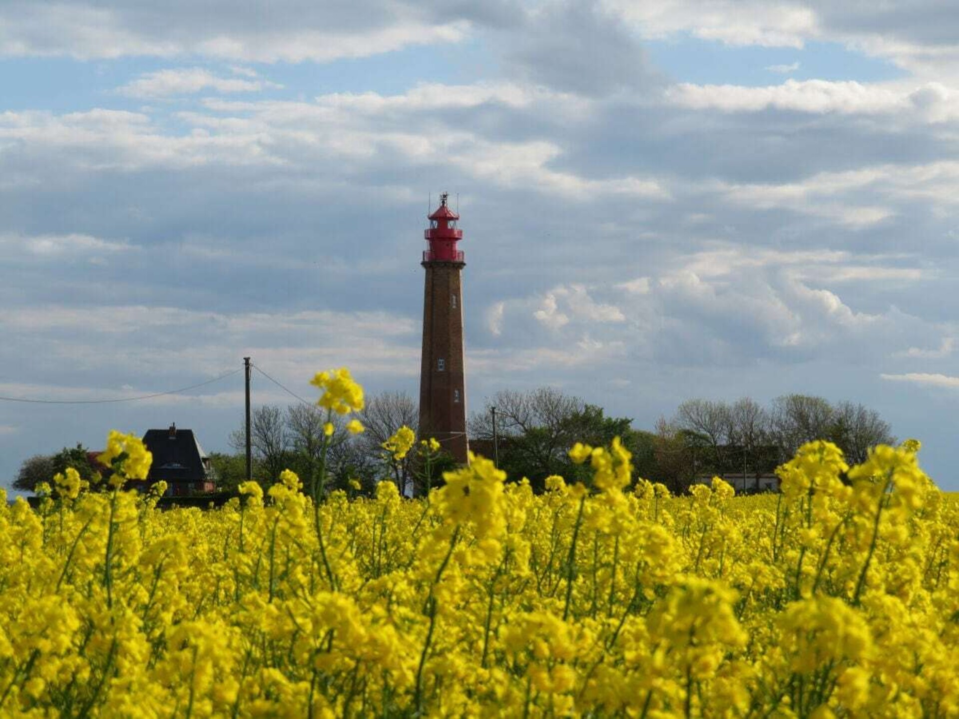 Licht vakantiehuis op Fehmarn, 1 km van natuurstrand Püttsee - foto 30