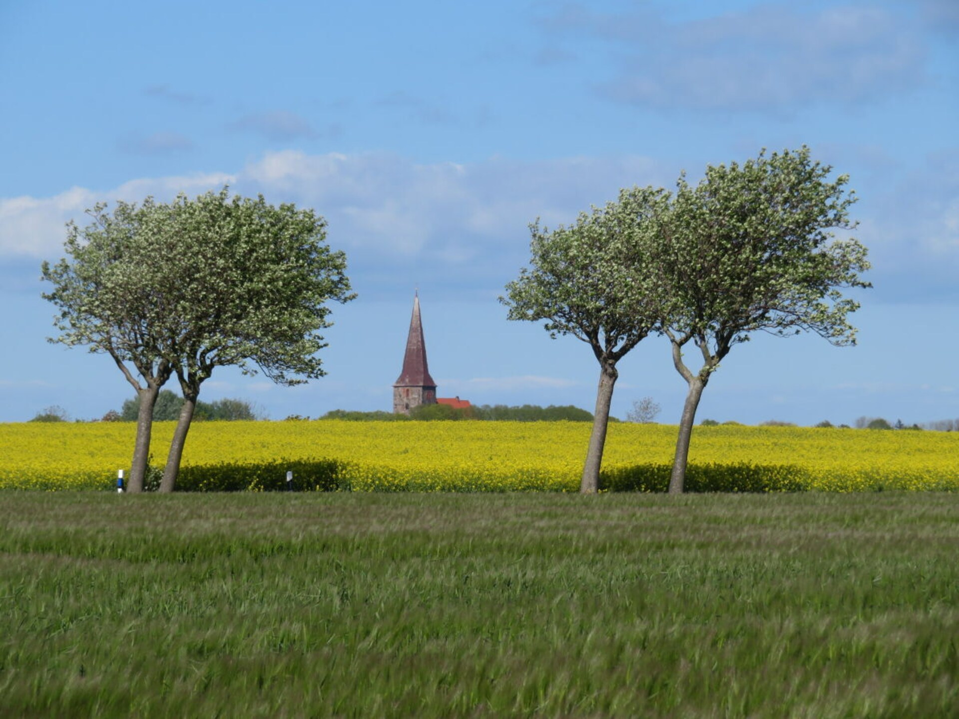 Licht vakantiehuis op Fehmarn, 1 km van natuurstrand Püttsee - foto 32