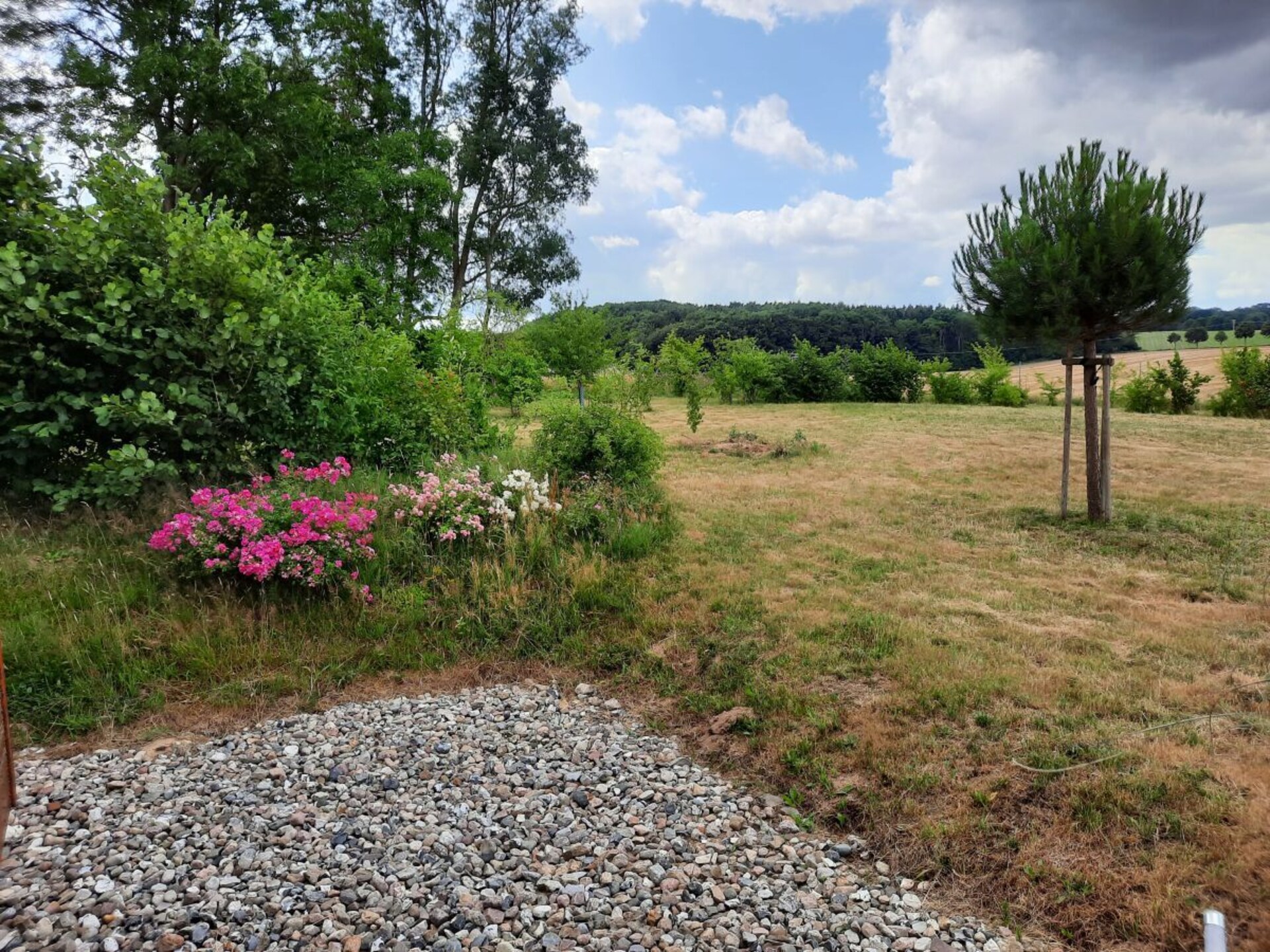 Tiny house bij Satow: sauna, weids uitzicht en 3 km van de Oostzee - foto 12