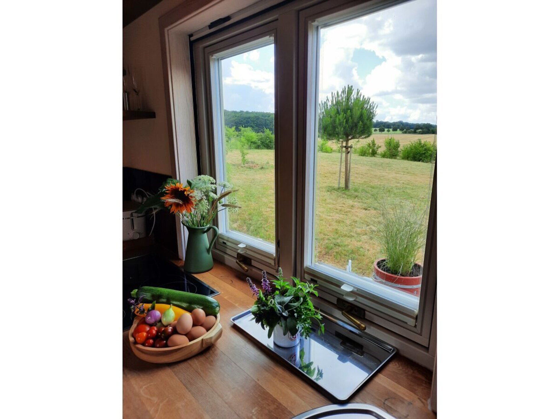 Tiny house bij Satow: sauna, weids uitzicht en 3 km van de Oostzee - foto 27