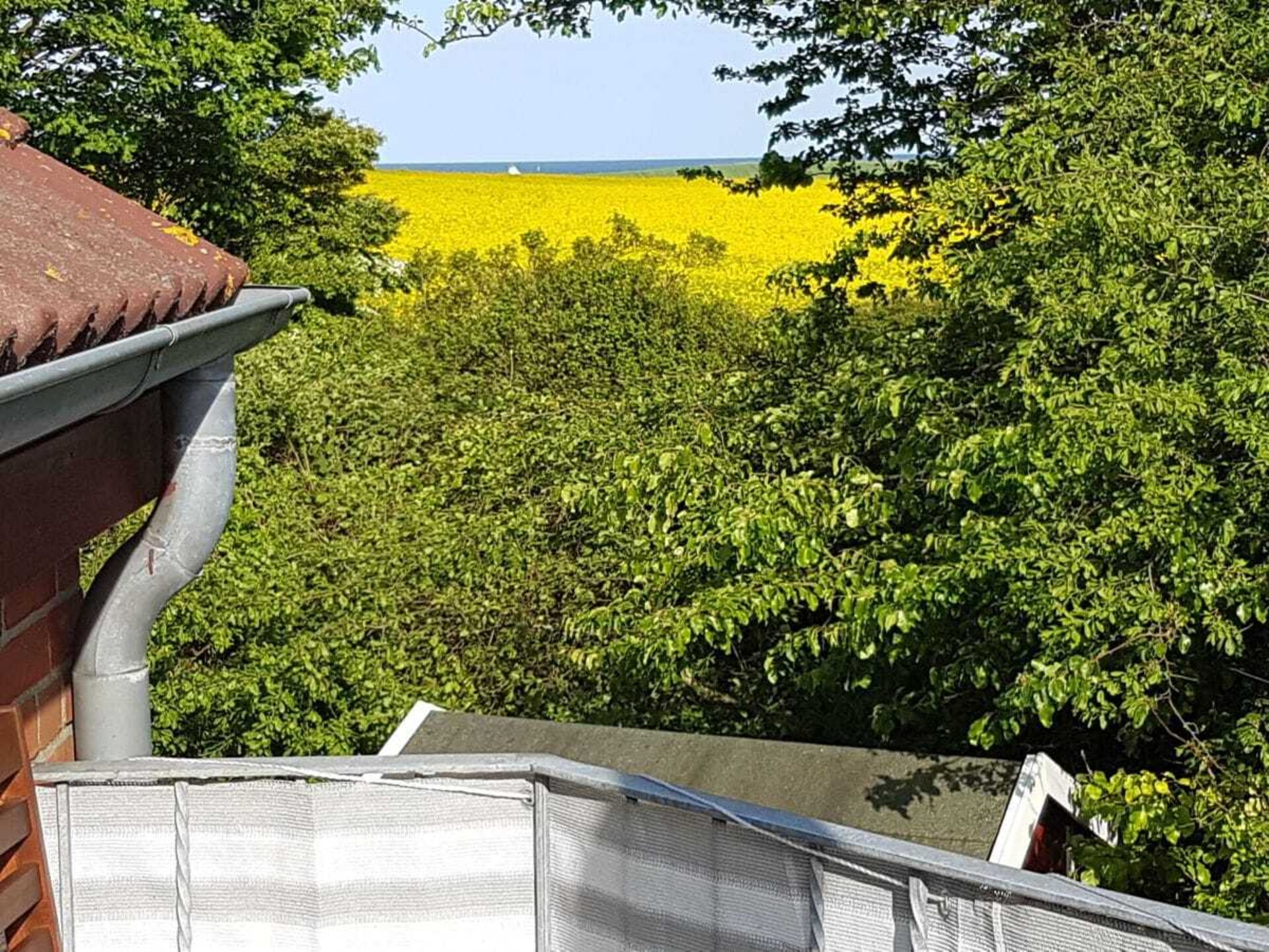 Knus vakantiehuis in Schönhagen aan de Oostzee voor 5 personen - foto 8