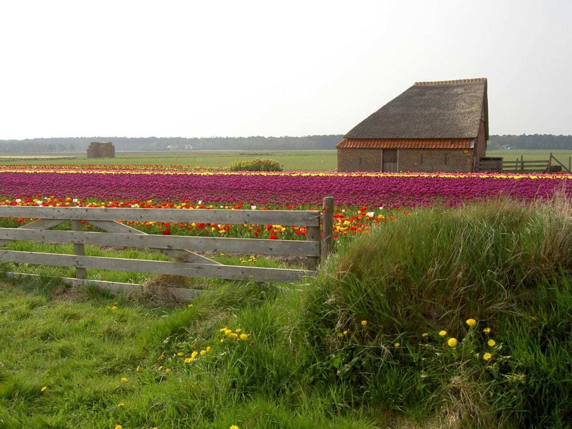 Nieuwe vrijstaande comfortbungalow met tuinsauna op Texel, 98m² - foto 17