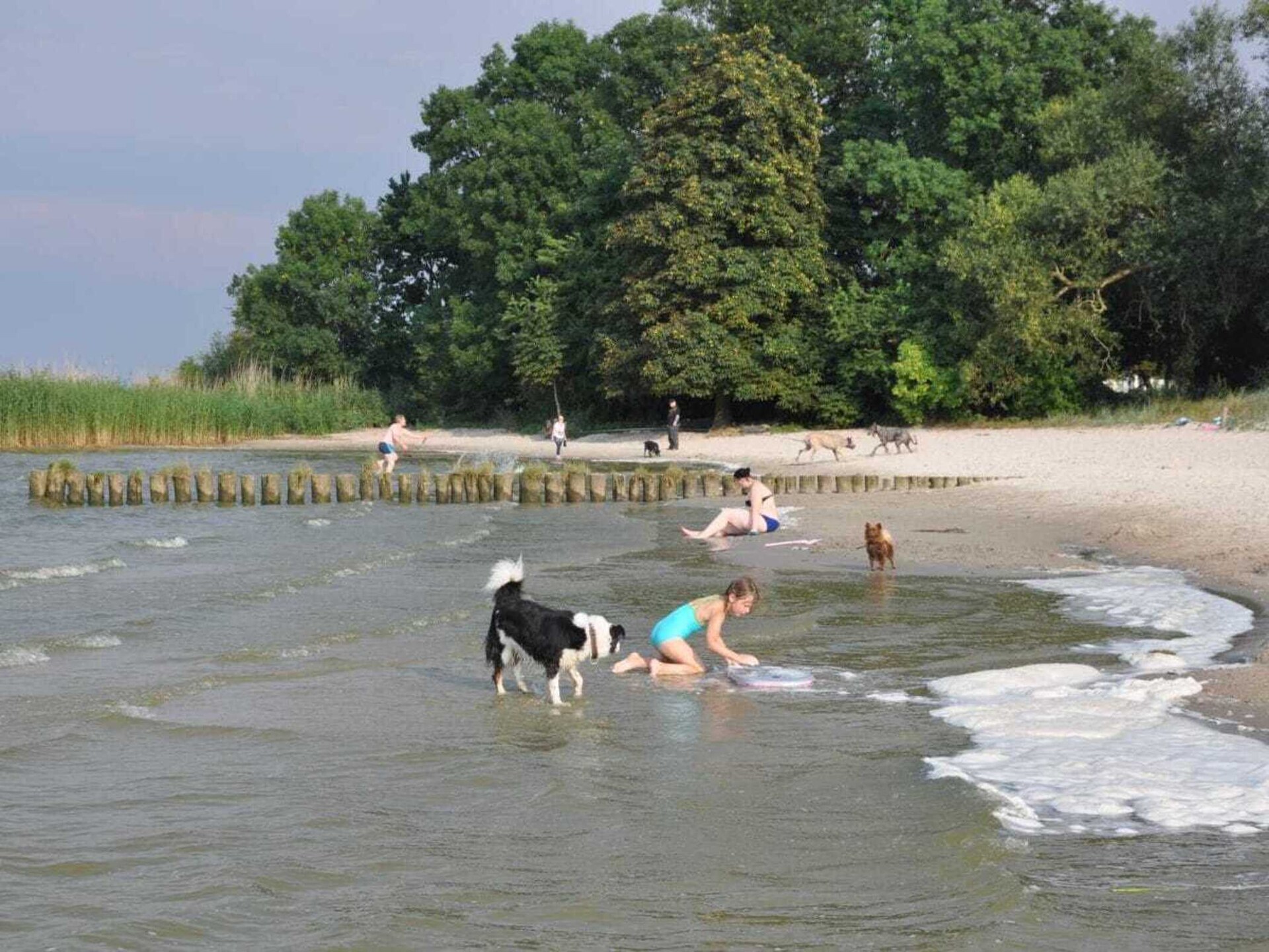 Knus appartement aan het water in Ueckermünde met zonneterras - foto 17