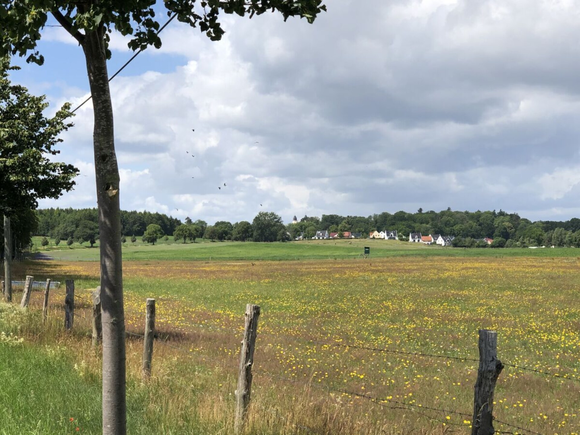 Ruim vakantiehuis met wellnessbadkamers en uitzicht op de natuur in Göhren-Lebbin - foto 36