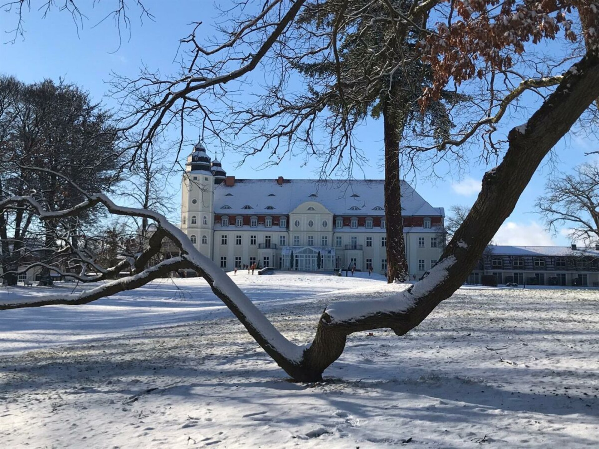 Ruim vakantiehuis met wellnessbadkamers en uitzicht op de natuur in Göhren-Lebbin - foto 39