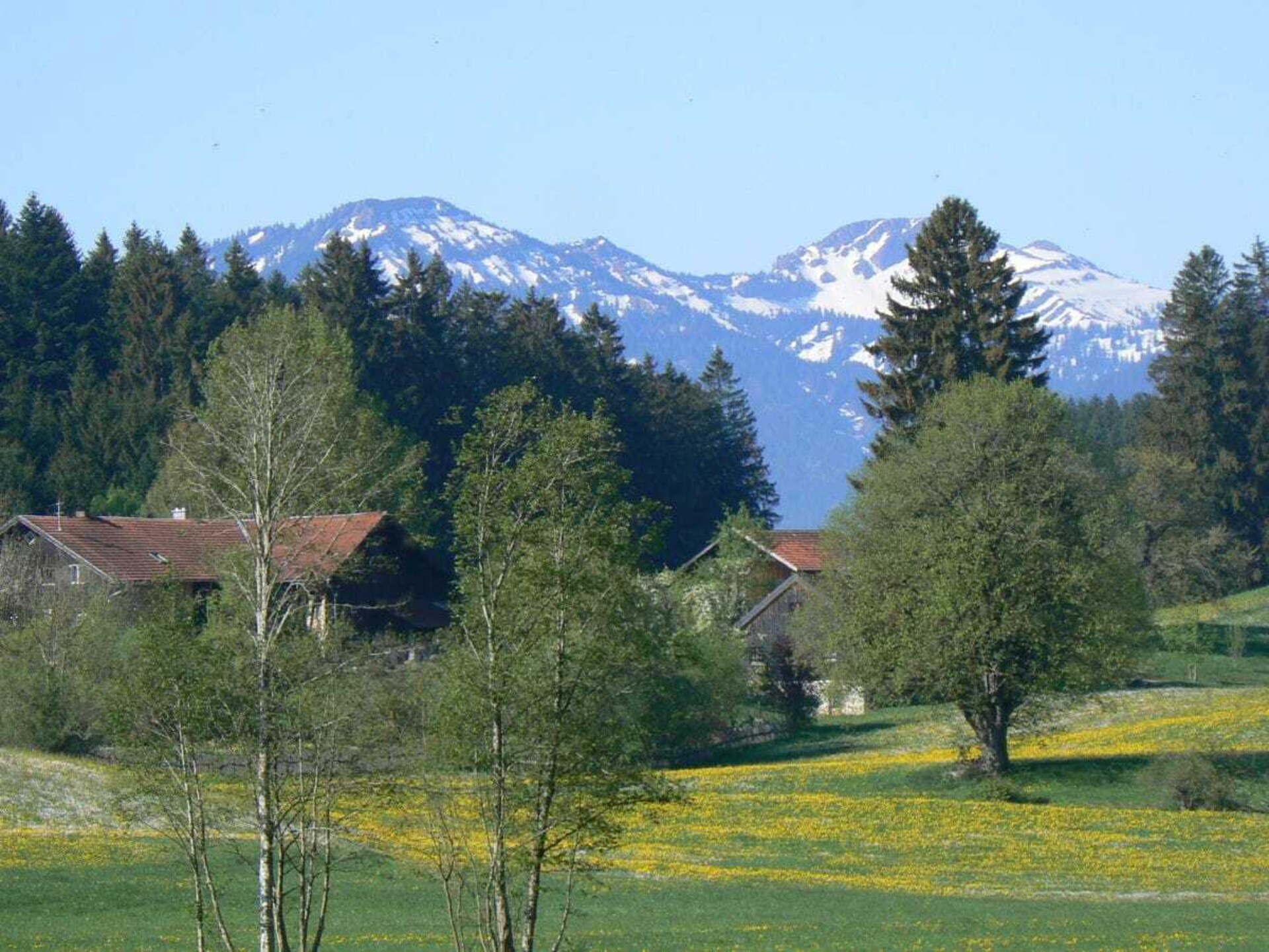 Authentiek Alpenverblijf in Sulzberg – Ruimte, rust en natuur nabij de skipiste - foto 9