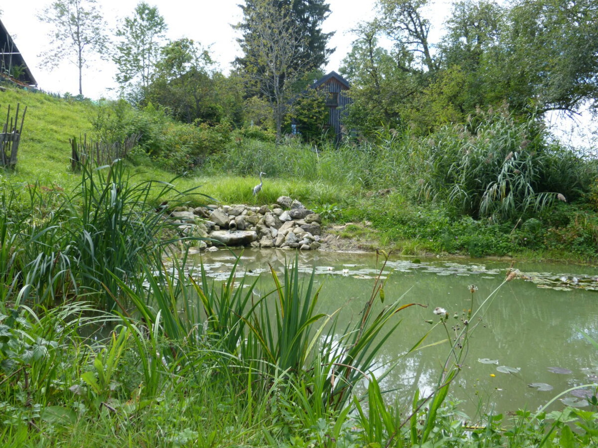 Authentiek Alpenverblijf in Sulzberg – Ruimte, rust en natuur nabij de skipiste - foto 16