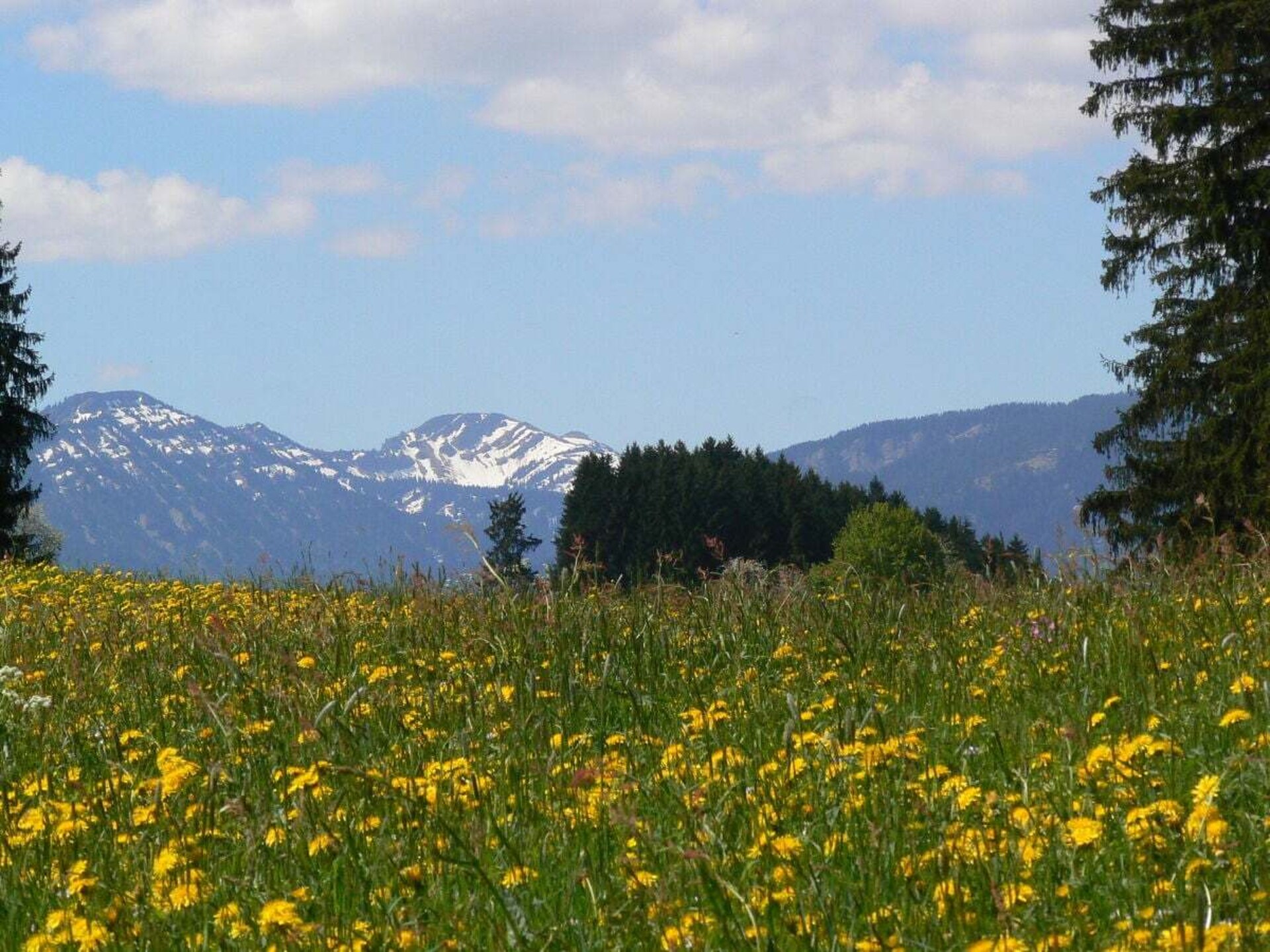 Authentiek Alpenverblijf in Sulzberg – Ruimte, rust en natuur nabij de skipiste - foto 22