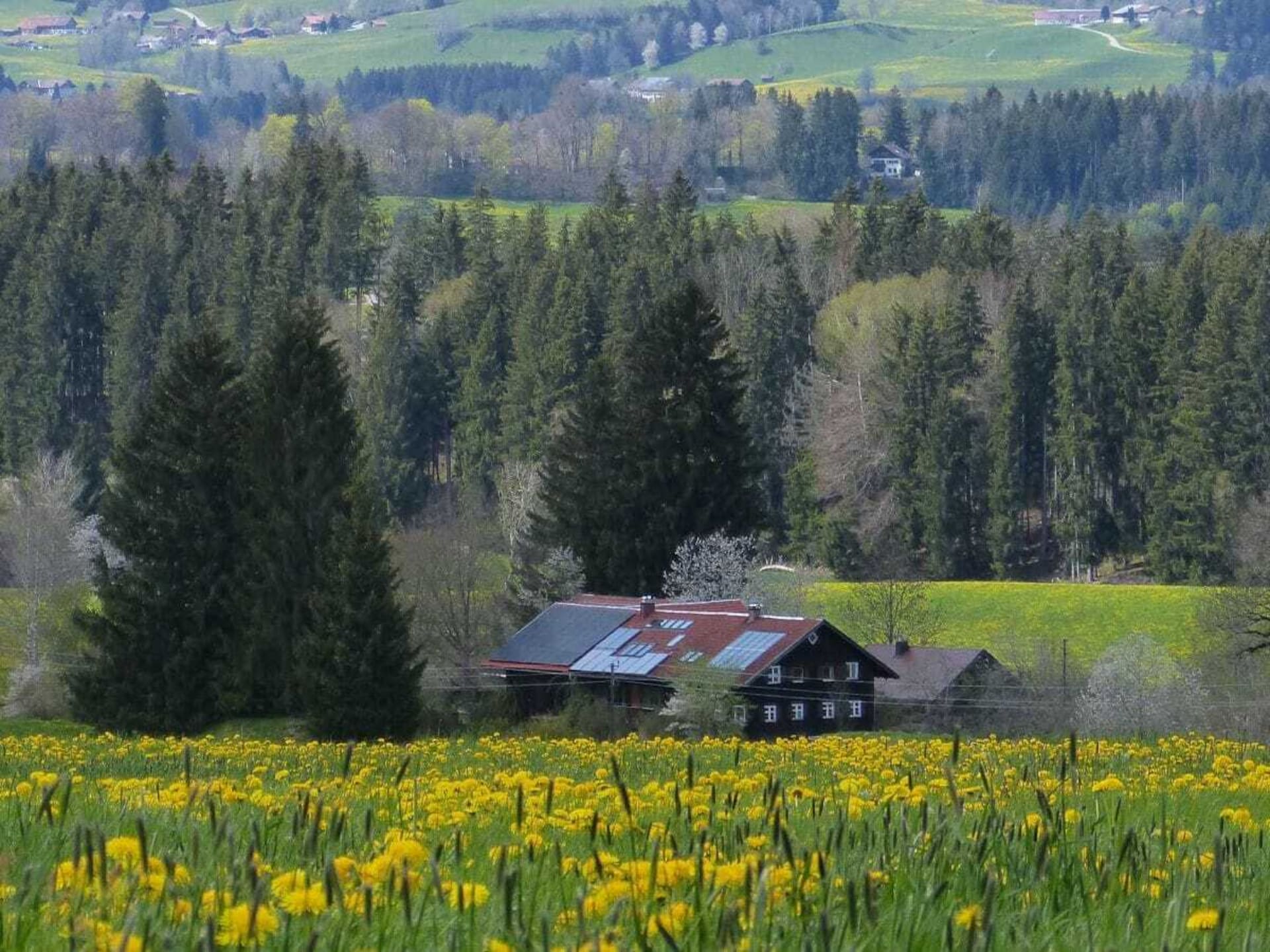 Authentiek Alpenverblijf in Sulzberg – Ruimte, rust en natuur nabij de skipiste - foto 25