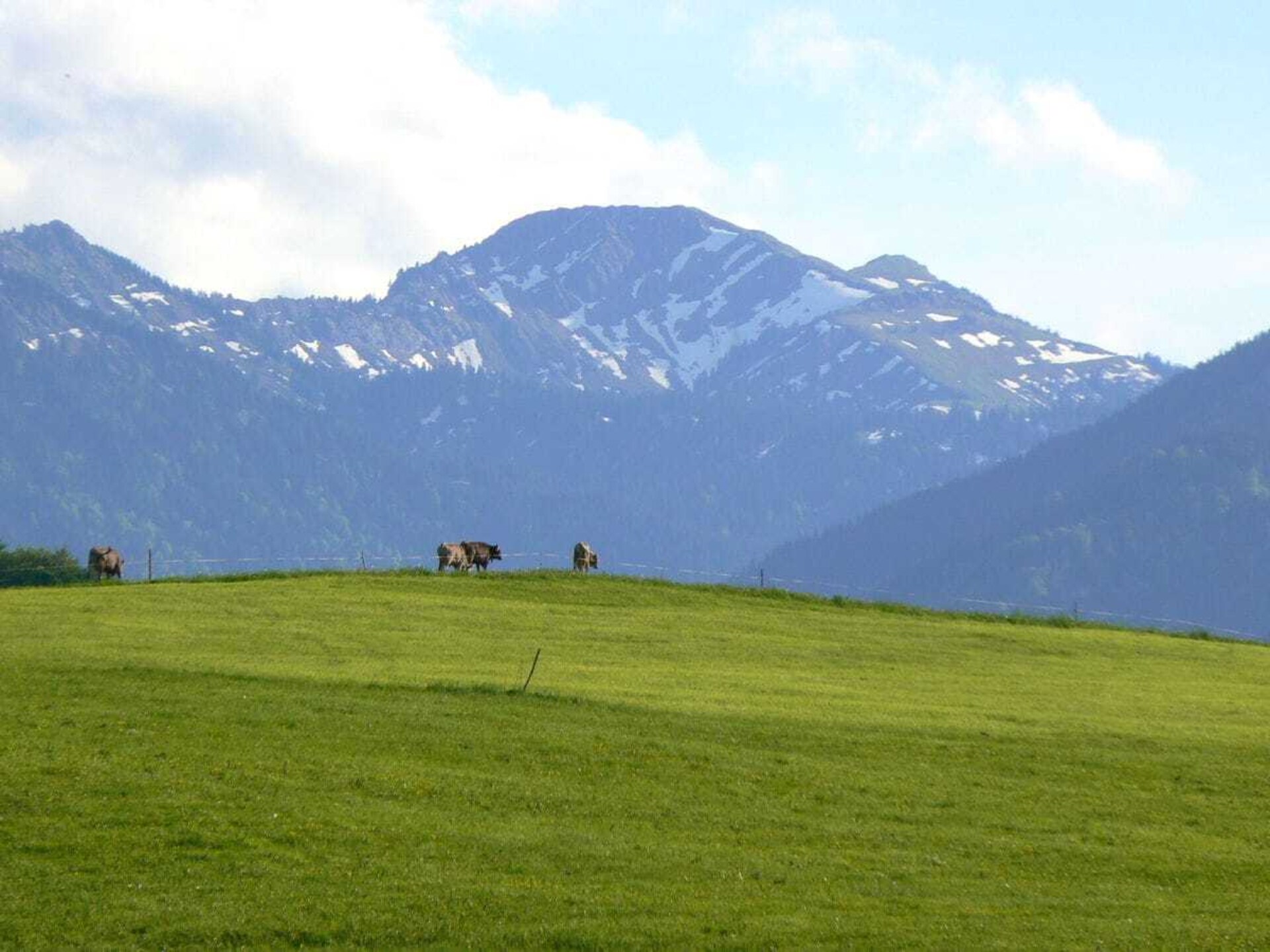 Authentiek Alpenverblijf in Sulzberg – Ruimte, rust en natuur nabij de skipiste - foto 35