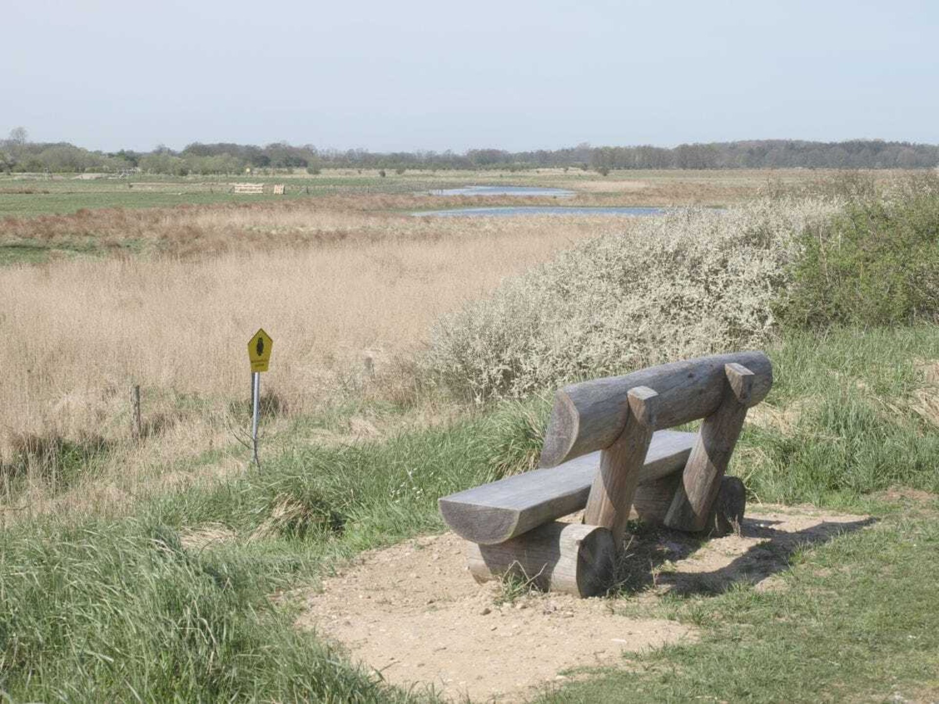 Comfortabel vakantiehuis met sauna en open haard bij Kappeln aan de Schlei - foto 17
