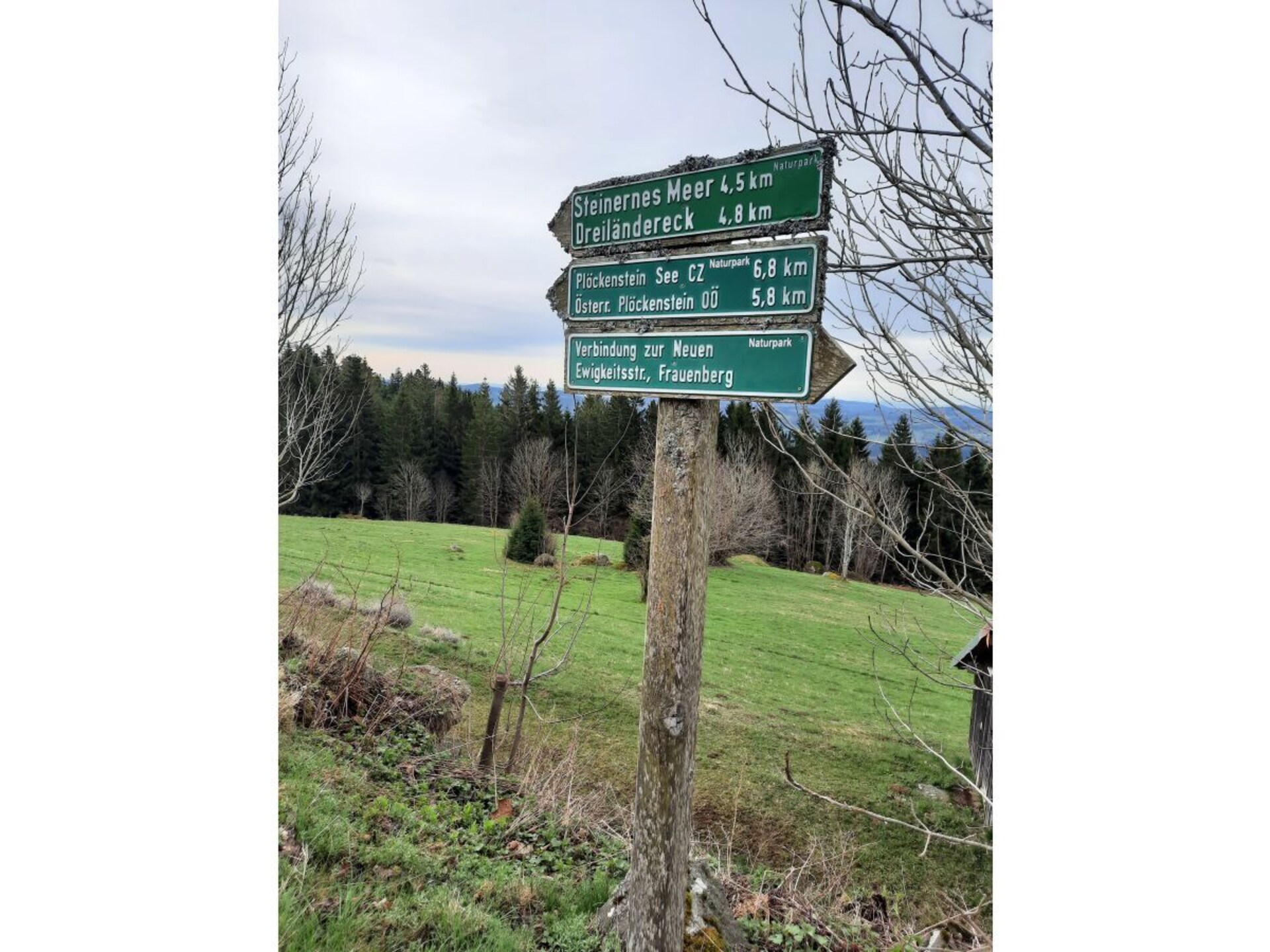 Berghuis op 1000m hoogte aan de Dreisesselberg voor 6 personen - foto 25