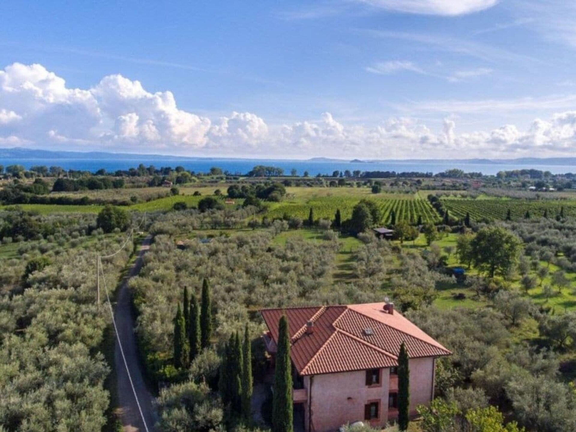 Sfeervol vakantiehuis in olijfgaard, 5 minuten van het Meer van Bolsena - foto 10