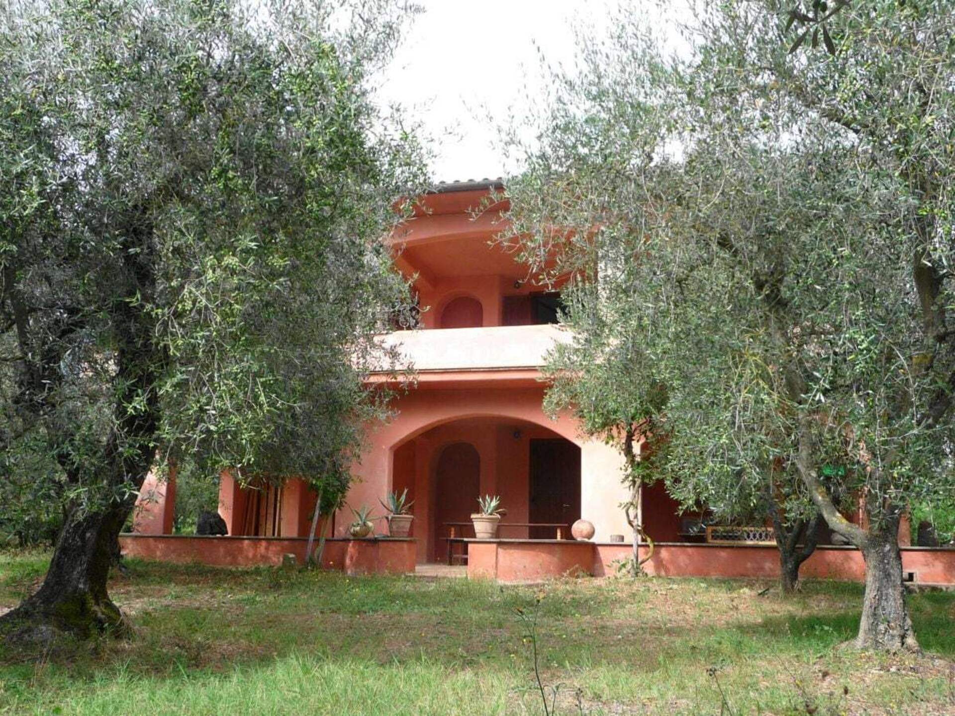 Sfeervol vakantiehuis in olijfgaard, 5 minuten van het Meer van Bolsena - foto 1