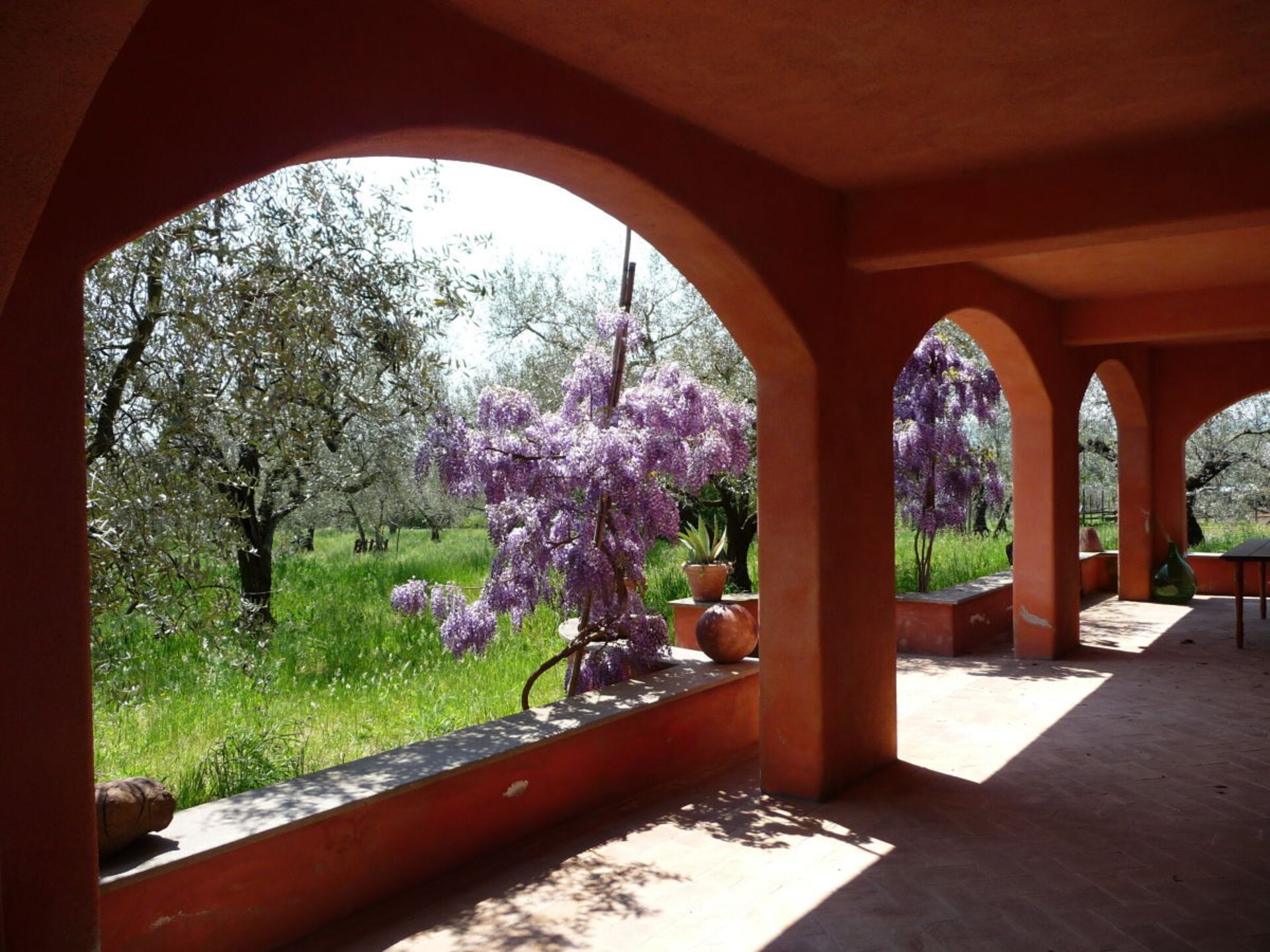 Sfeervol vakantiehuis in olijfgaard, 5 minuten van het Meer van Bolsena - foto 8
