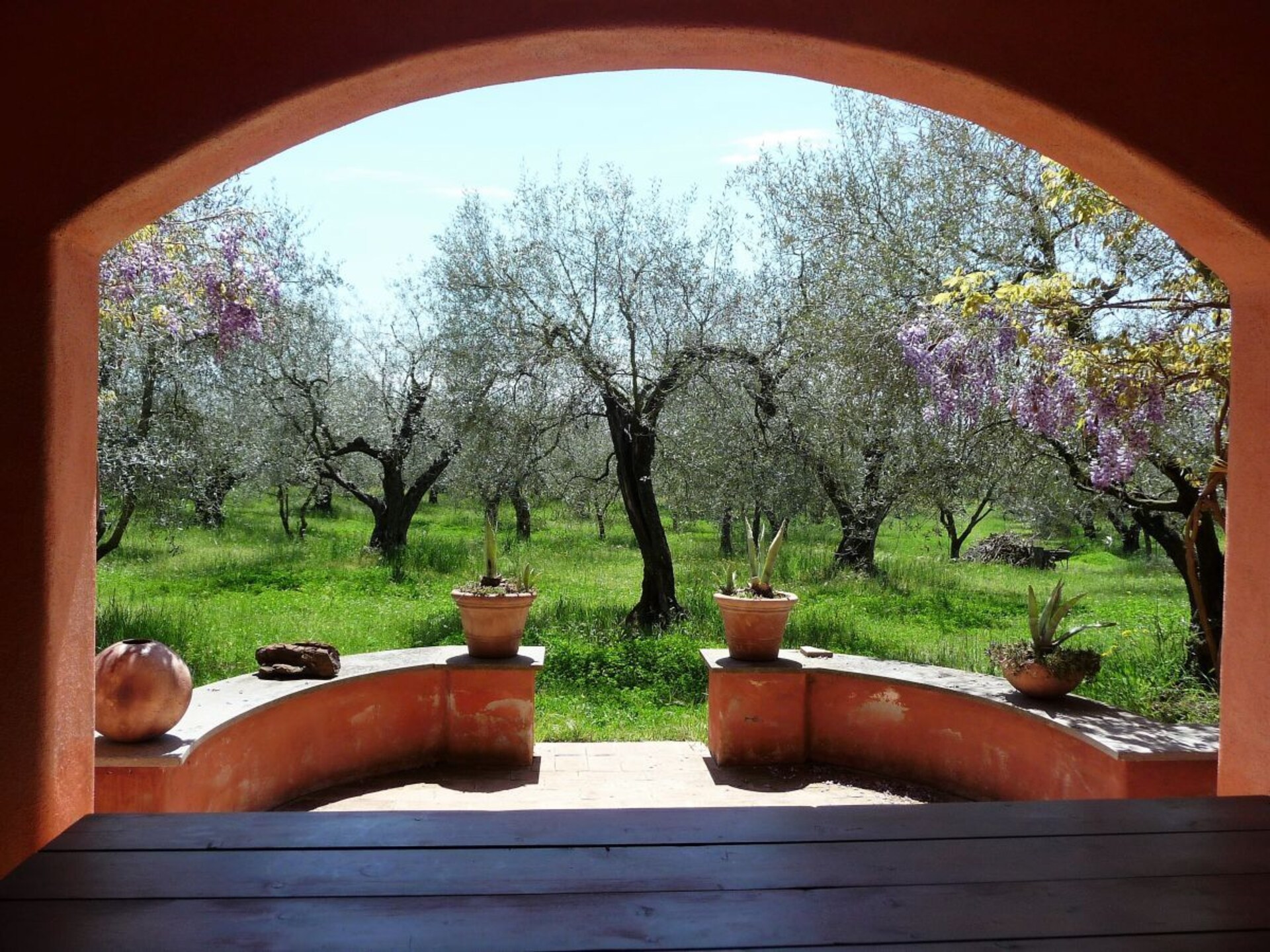 Sfeervol vakantiehuis in olijfgaard, 5 minuten van het Meer van Bolsena - foto 9